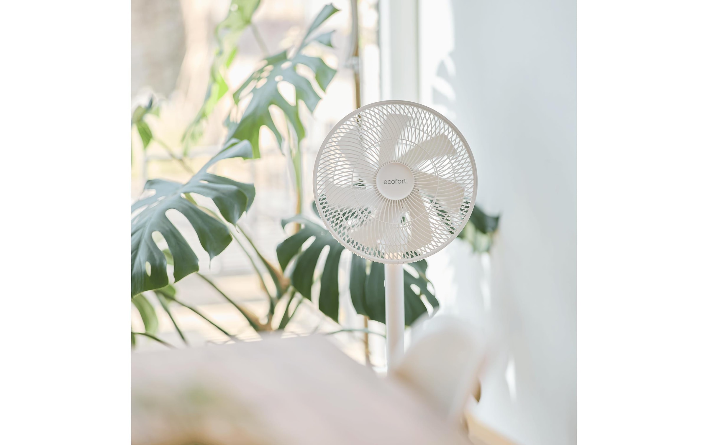   Ventilateur sur pied »Ecofort ecoQ SilentAir Due«