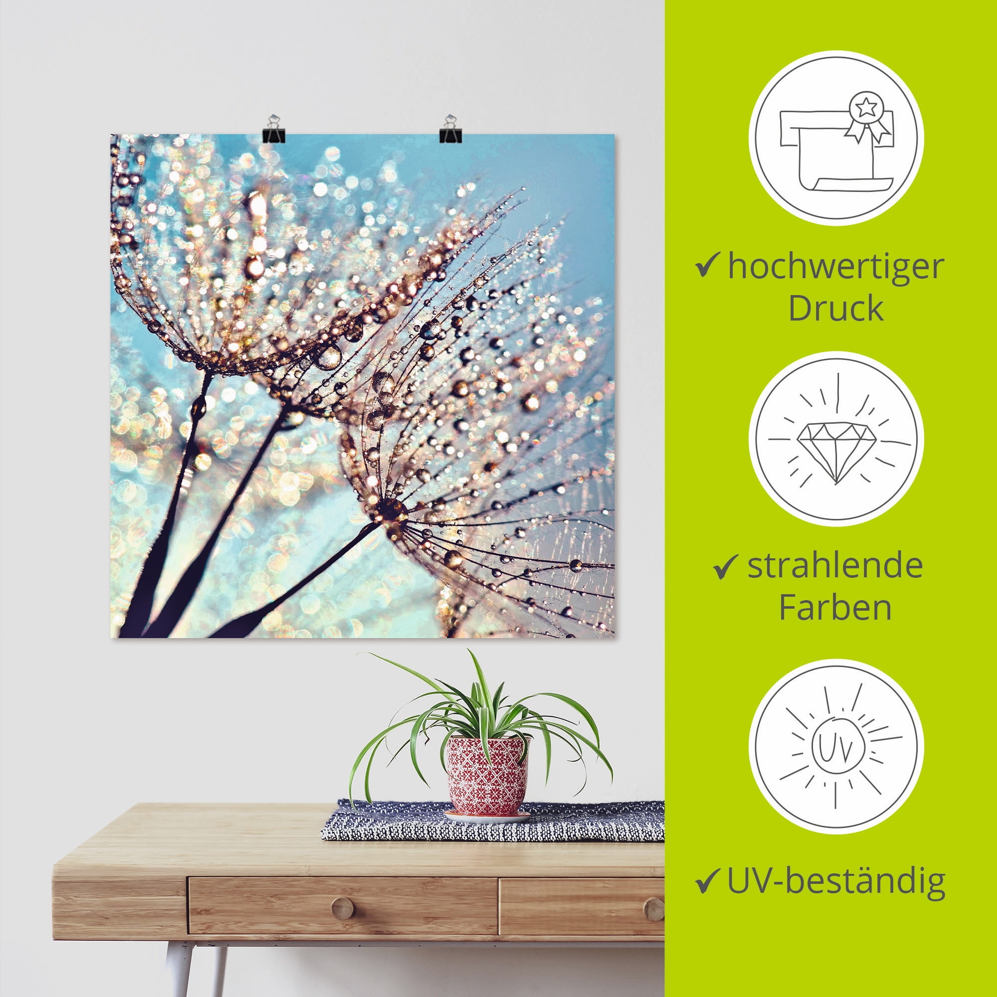 Artland Poster »Pusteblume Tröpfchenfänger« 1 cuis tlg. ohne Rahmen