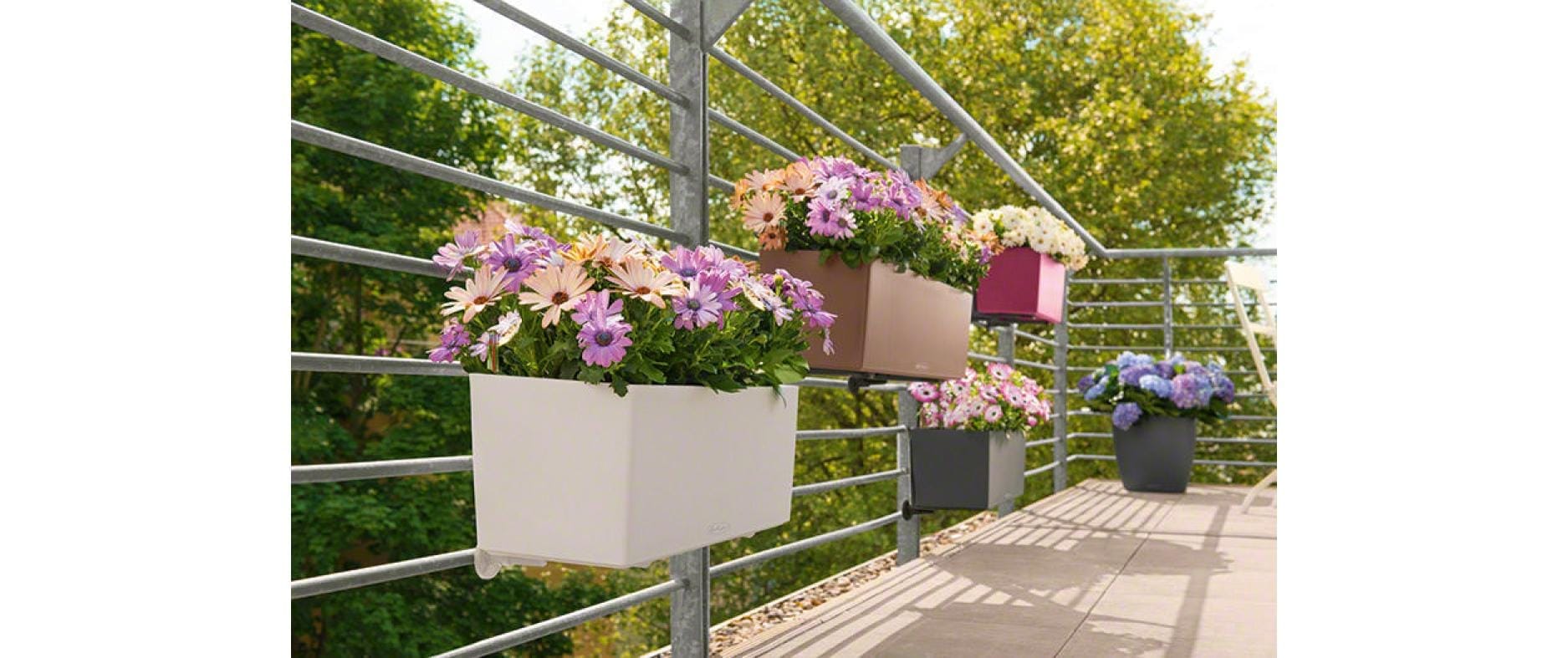   Bac à plantes »Balconera Color«