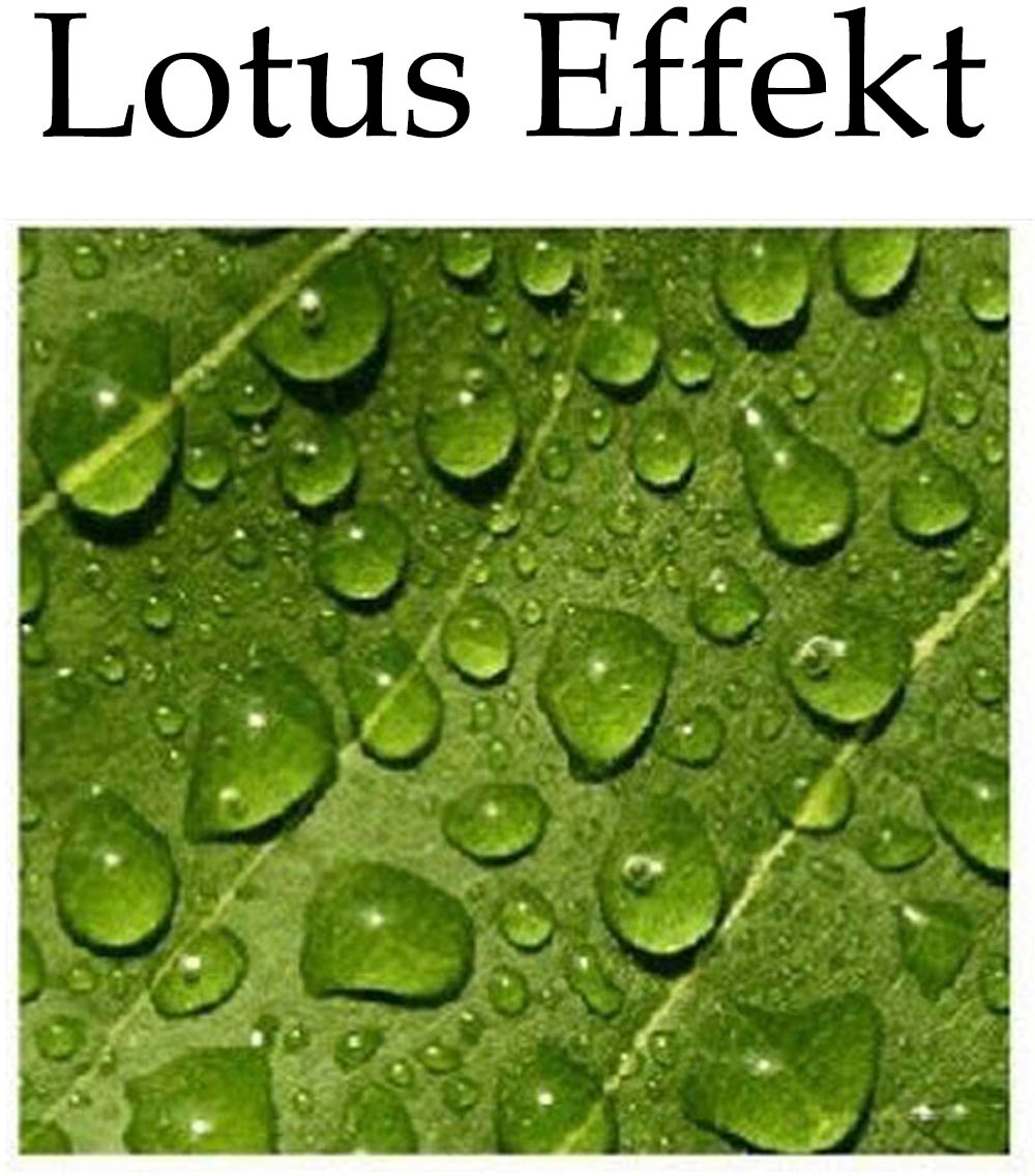 Weckbrodt Kissenhülle »Blumenwiese« Lotus-Effekt, Garten, Blumen, Kissen