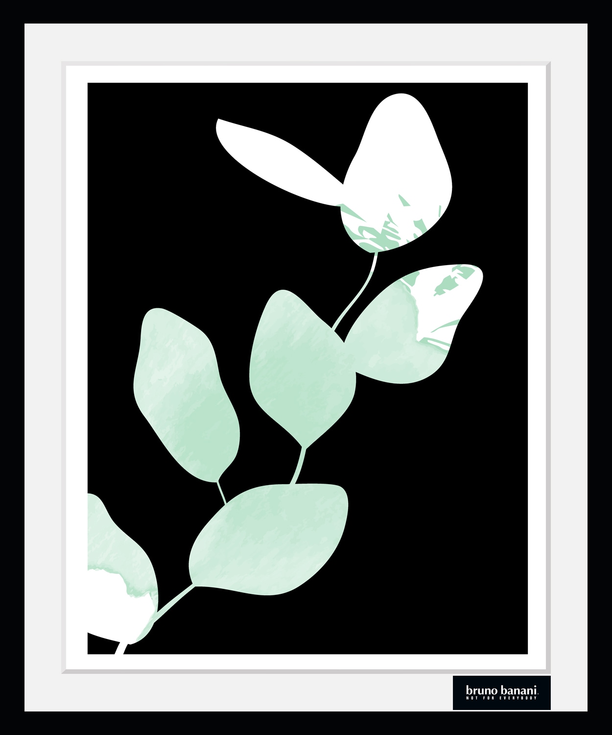 Bruno Banani Bild mit Rahmen »Eukalyptus - Gerahmter Digitaldruck - Wandbild« Blumenbilder | Kunst | Modern 1 Stk. tlg. Holzrahmen - Dekoration