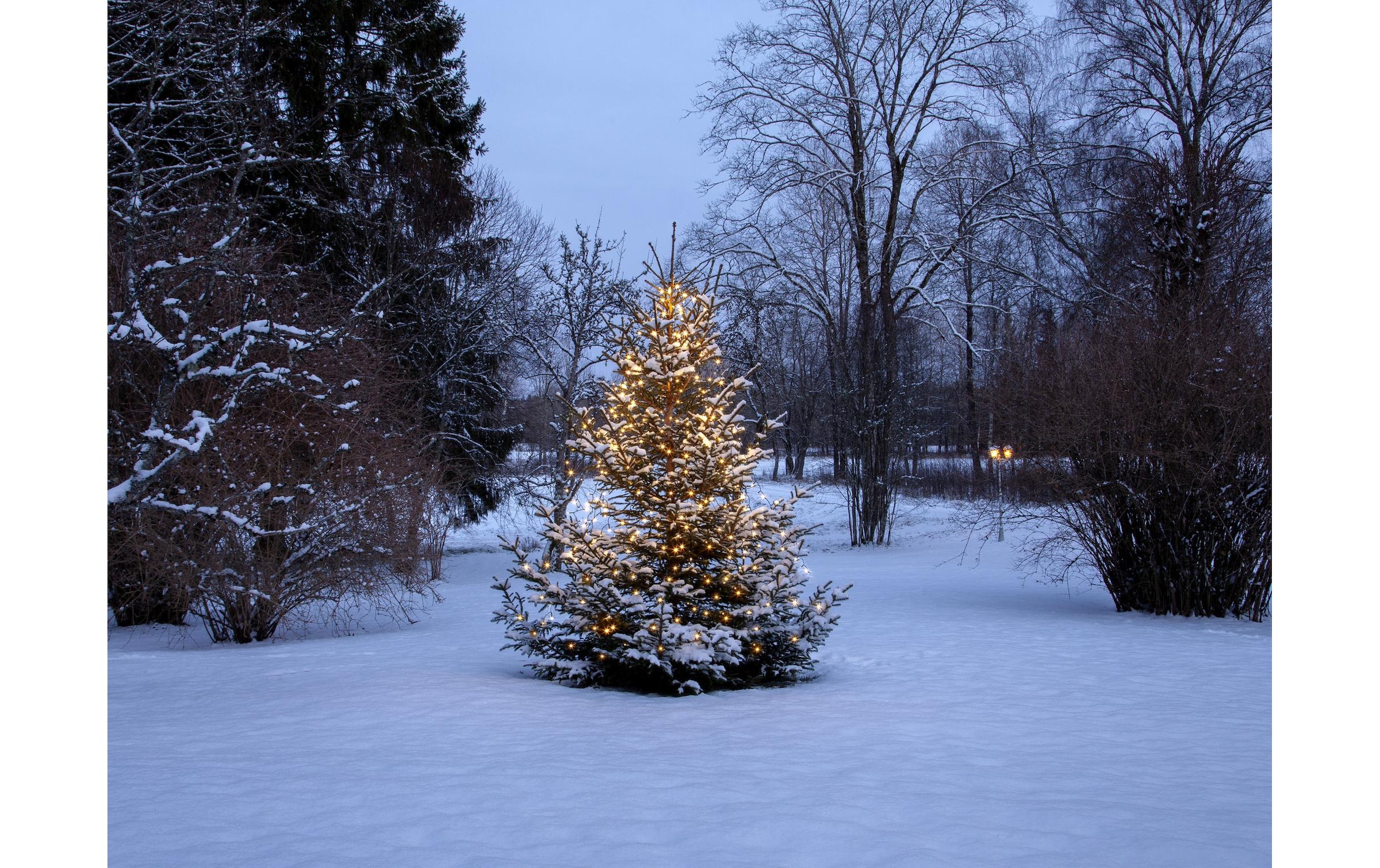   Guirlande lumineuse »Christmas Tree Light Shiny IP44, Warmweiss, 360 LED's«