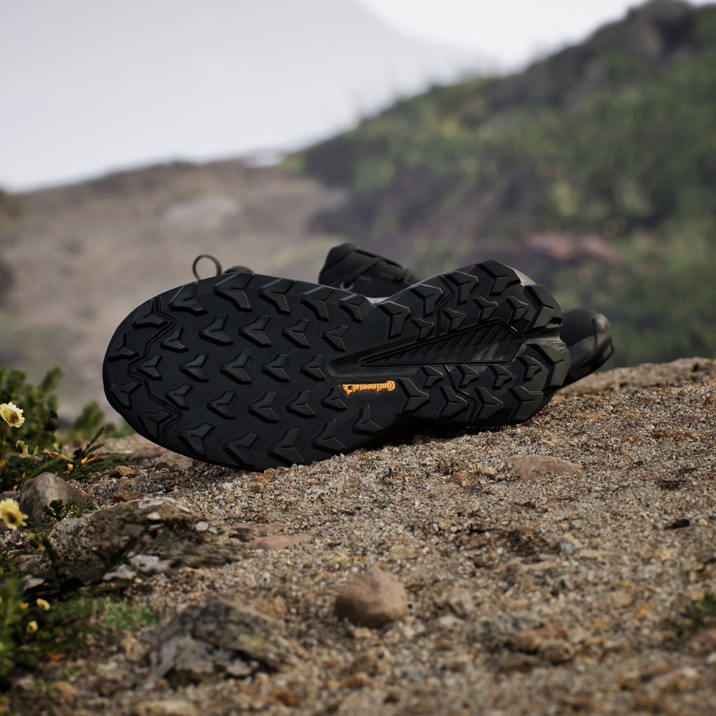 adidas TERREX Wanderschuh »TRAILMAKER 2.0 GORE-TEX«  wasserdicht