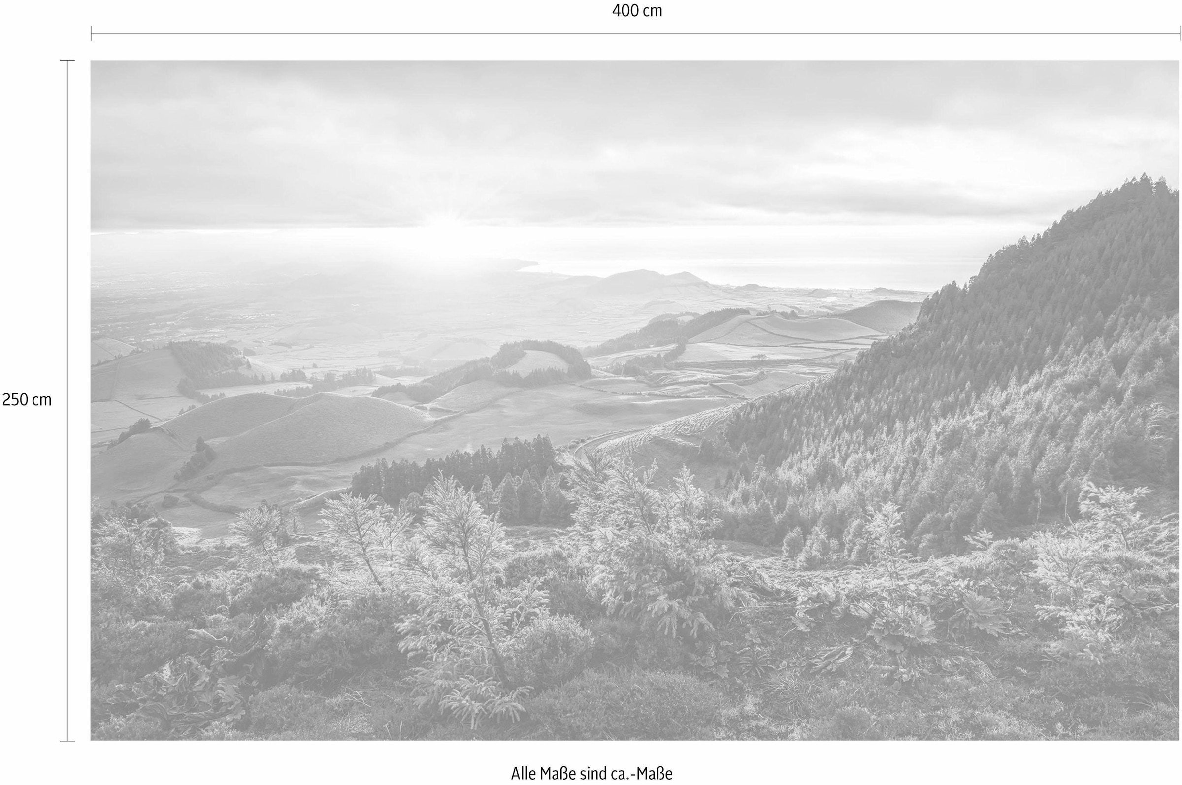 Komar Vliestapete »Digitaldruck Vlies -  Paradise Island - Grösse 400 x 250 cm« bedruckt glatt Wohnzimmer, Schlafzimmer