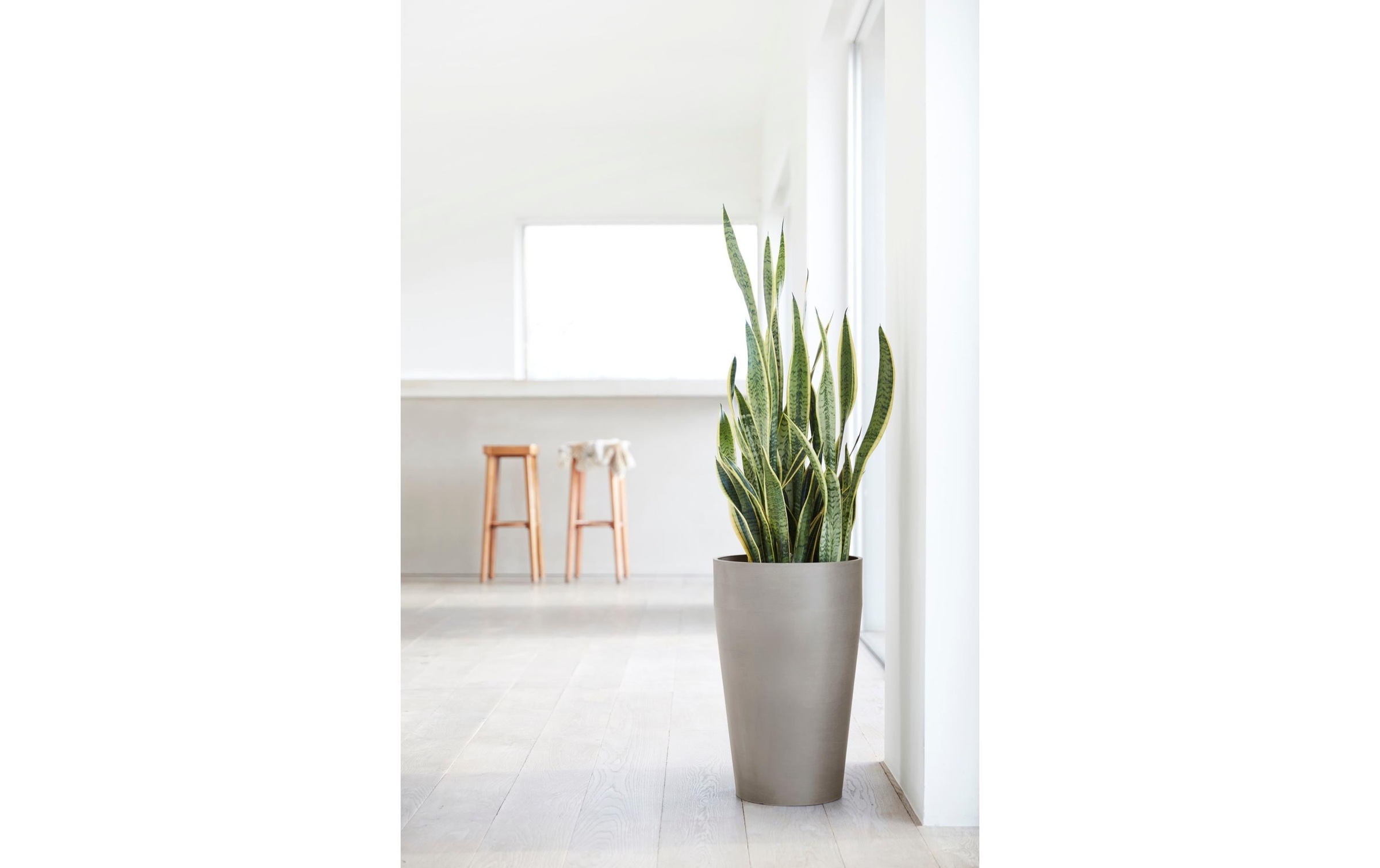   Blumentopf »Sankara High Ø 75 cm«