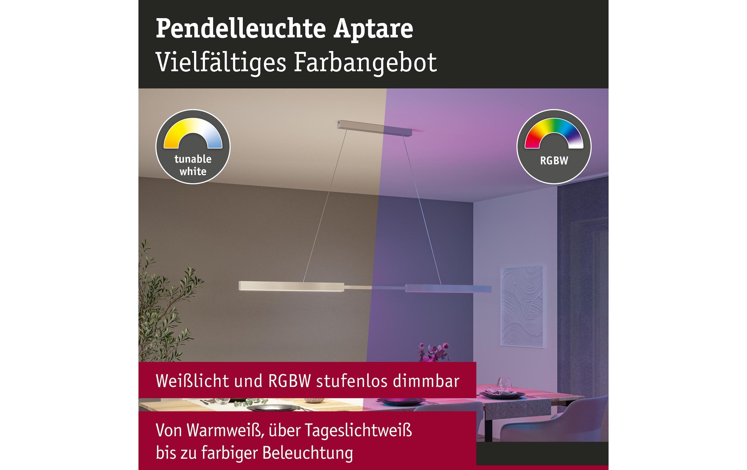 Paulmann Lampe suspendue LED »LED Pendelleuchte Smart Home Zigbee« Module LED RVB | blanc chaud - blanc froid