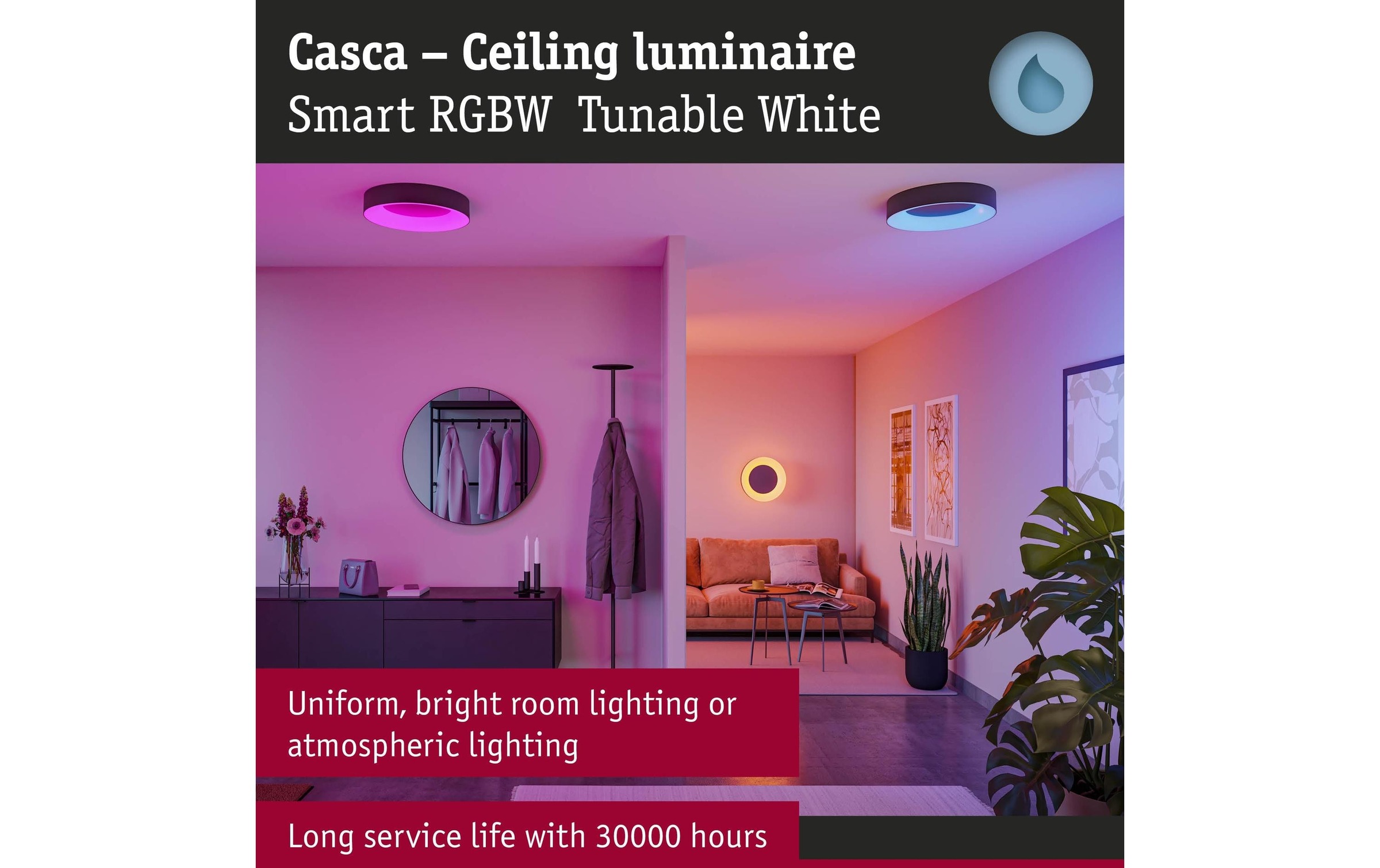 Paulmann Deckenleuchte »Casca« LED-Modul 1 Stk. Tageslichtweiss dimmbar