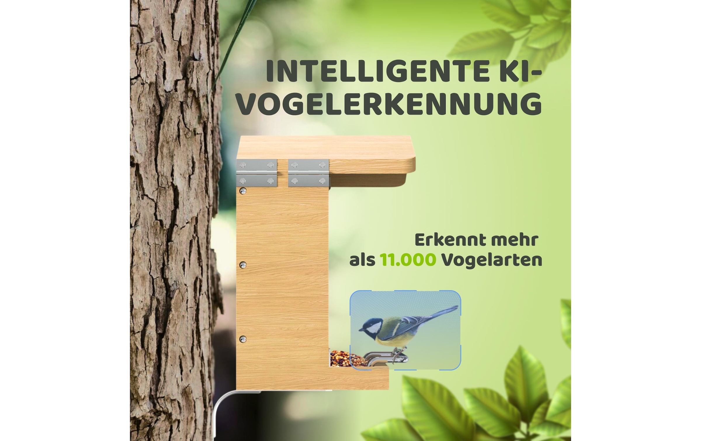   Vogelhaus »Sanilu mit Kamera mit Solarpanel«