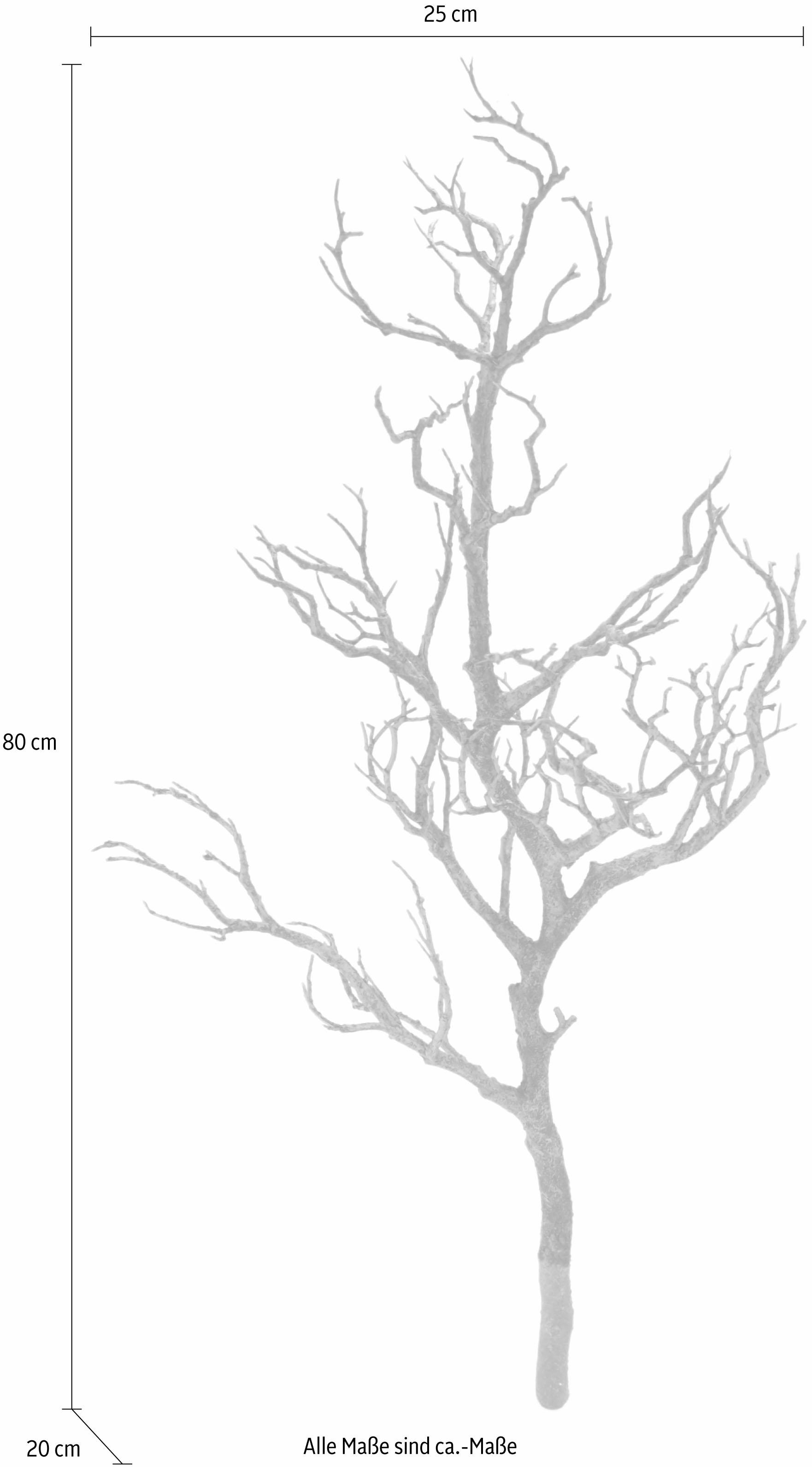 I.GE.A. Plante artificielle