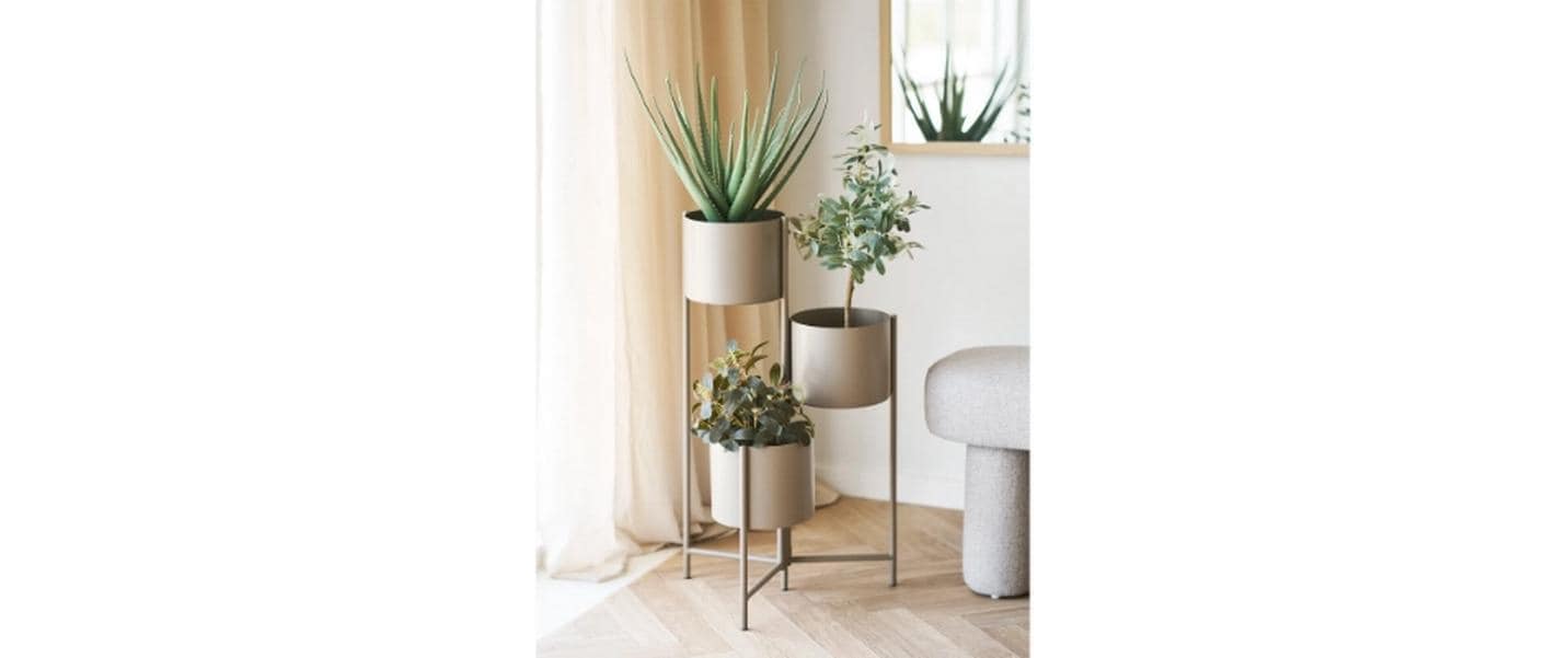 House Nordic Kunstpflanze »35 cm«