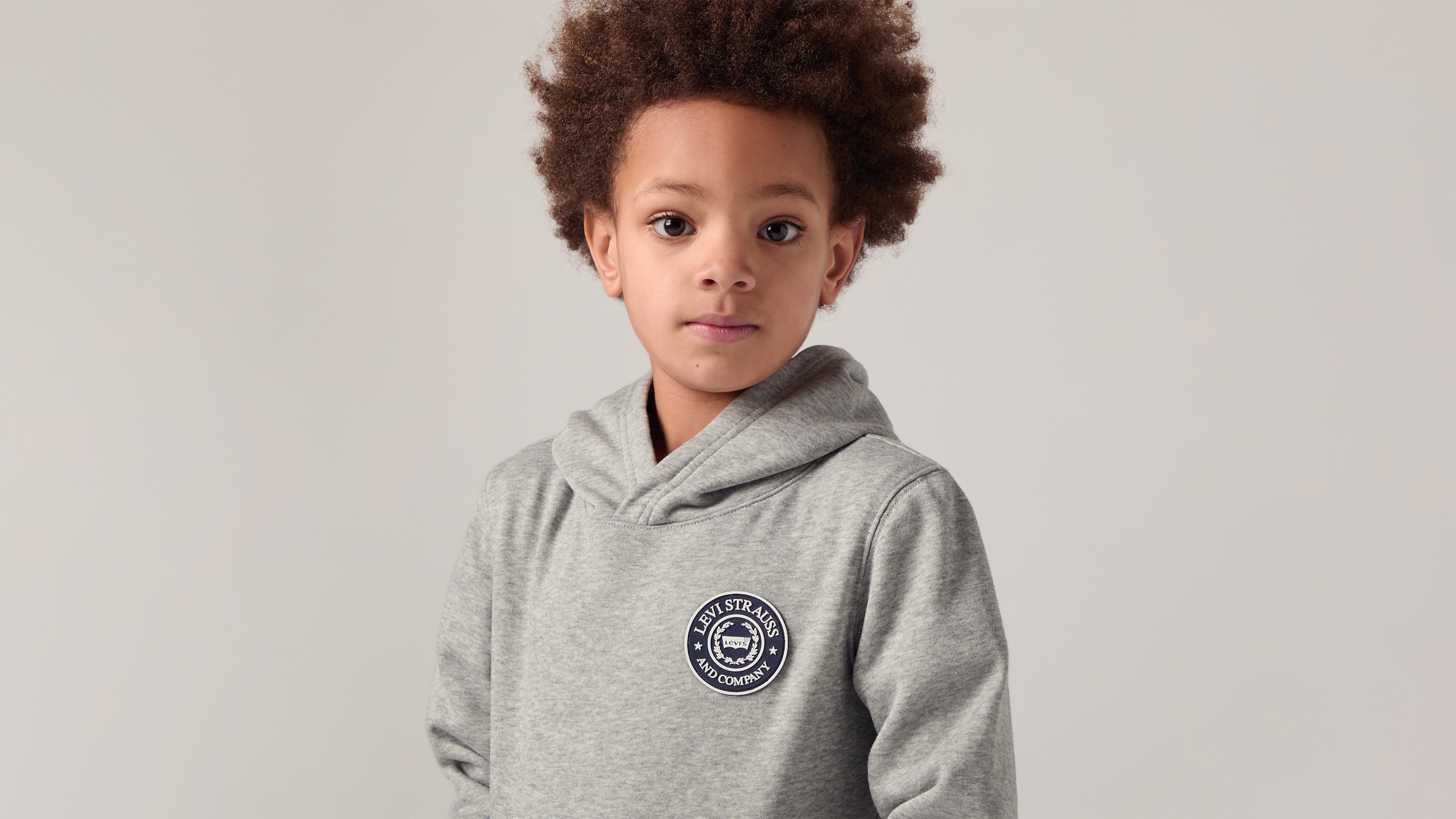 Levi's® Kids Sweat à capuche »LVB MODERN CREST HOODIE«, pour garçons
