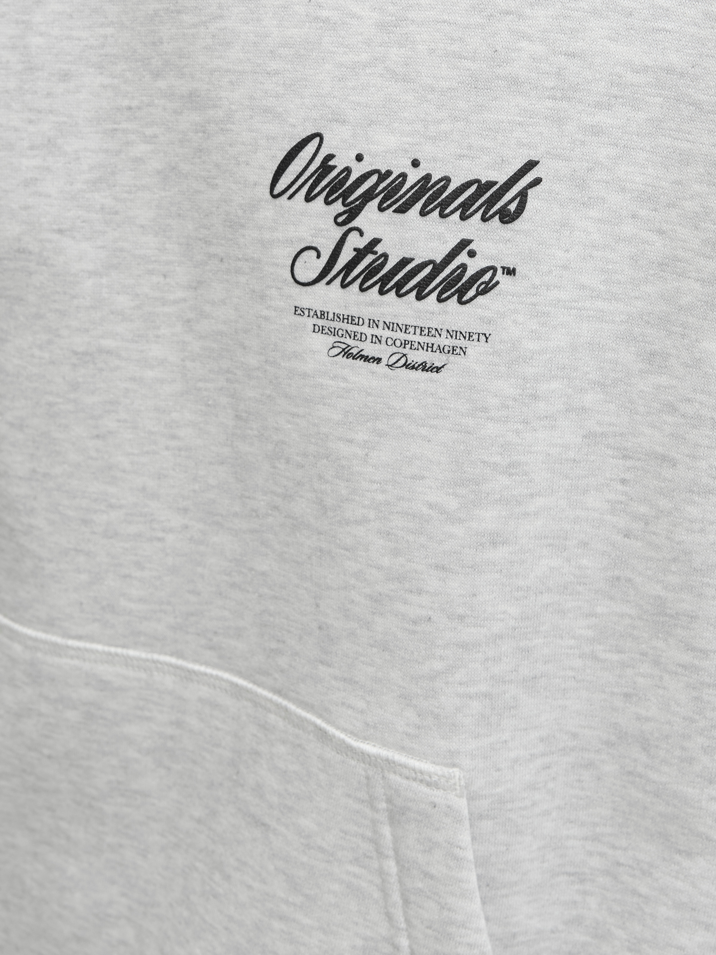 Jack & Jones Kapuzensweatshirt »JORNORREBRO TYPO BACK SWEAT HOOD SN« mit Print