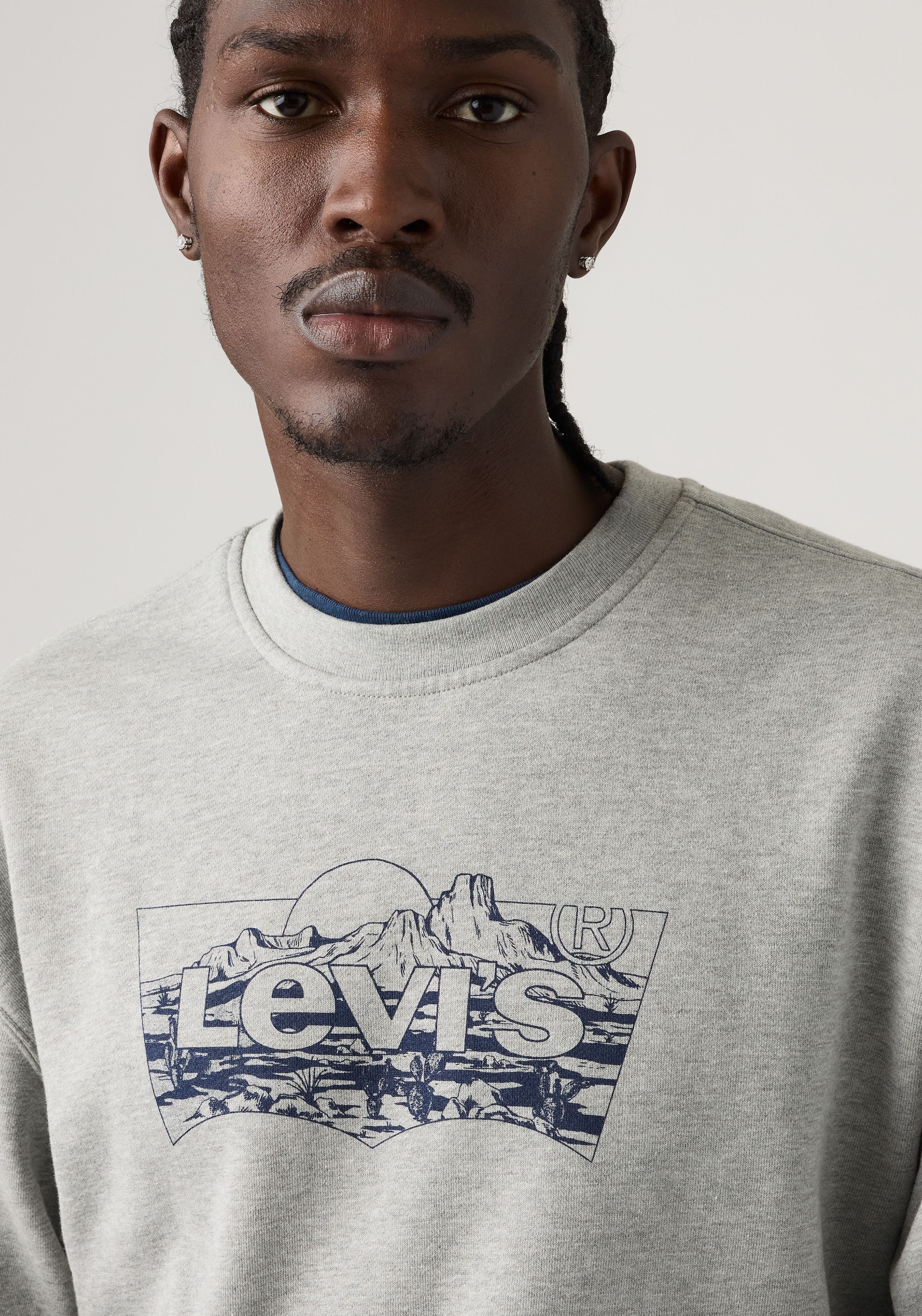 Levi's® Sweat-shirt »RELAXD GRAPHIC CREW NEUTRALS«
