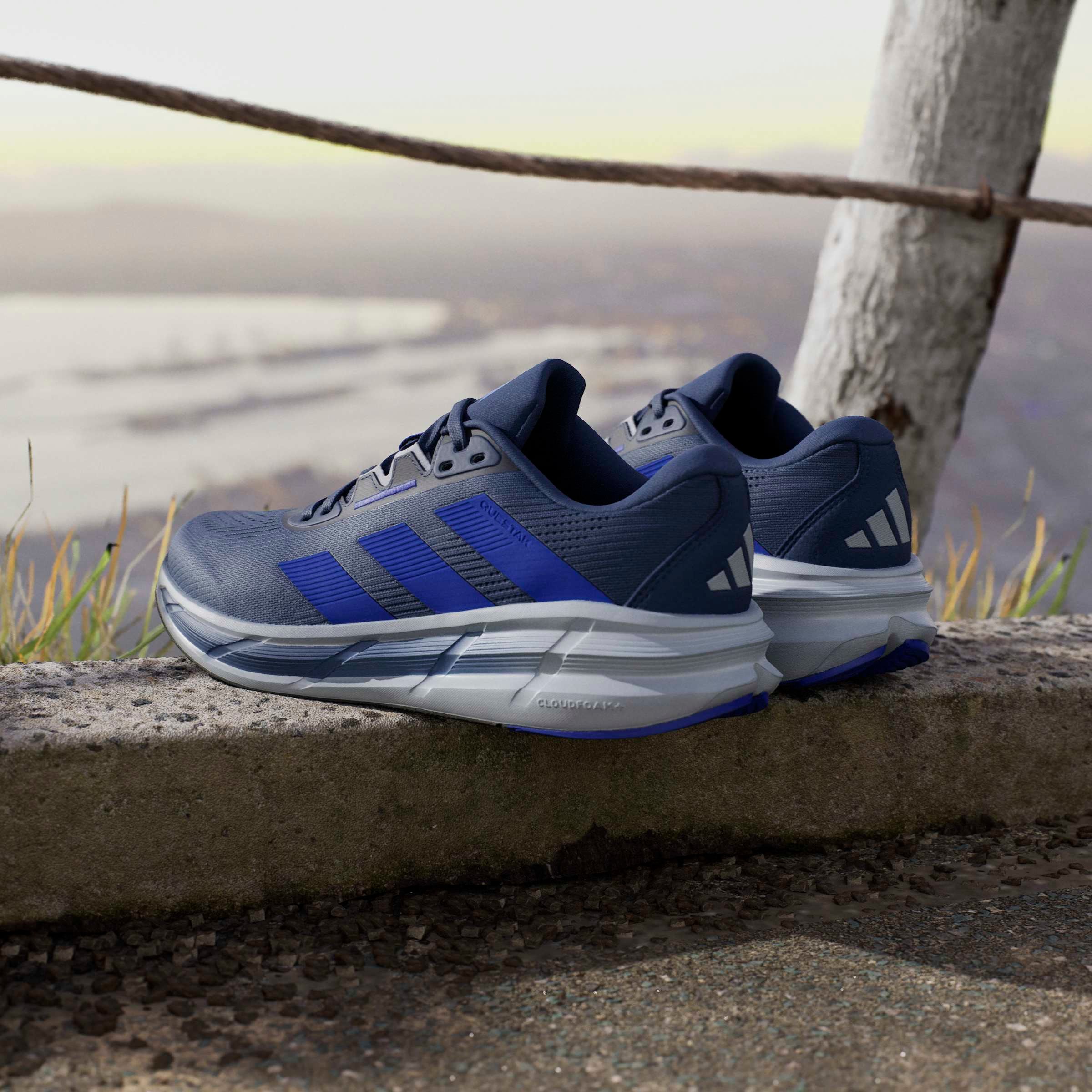 adidas Performance Laufschuh »QUESTAR 3 M«