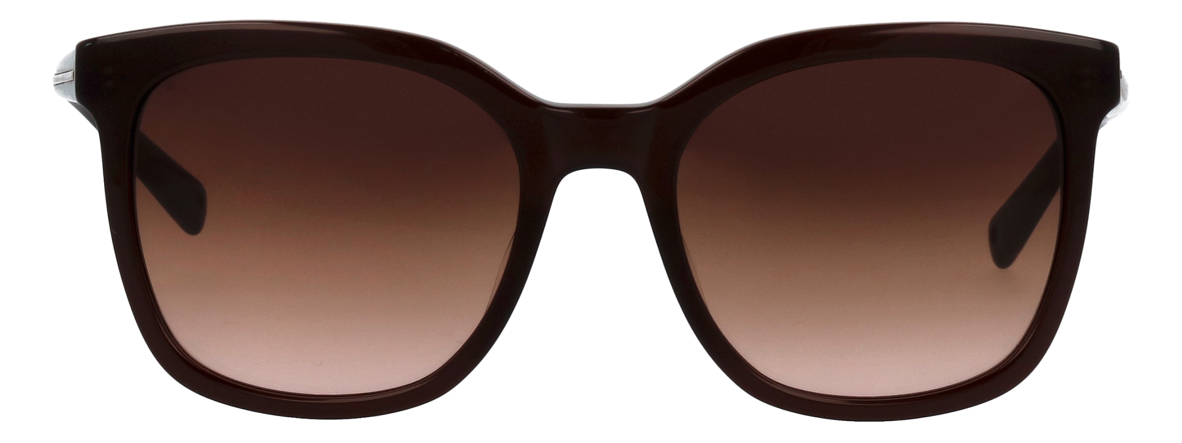 BRENDEL eyewear Lunettes de soleil »Modell 906207« Form Karree/Eckig, Logoschriftzug auf Bügel, Kunststofffassung