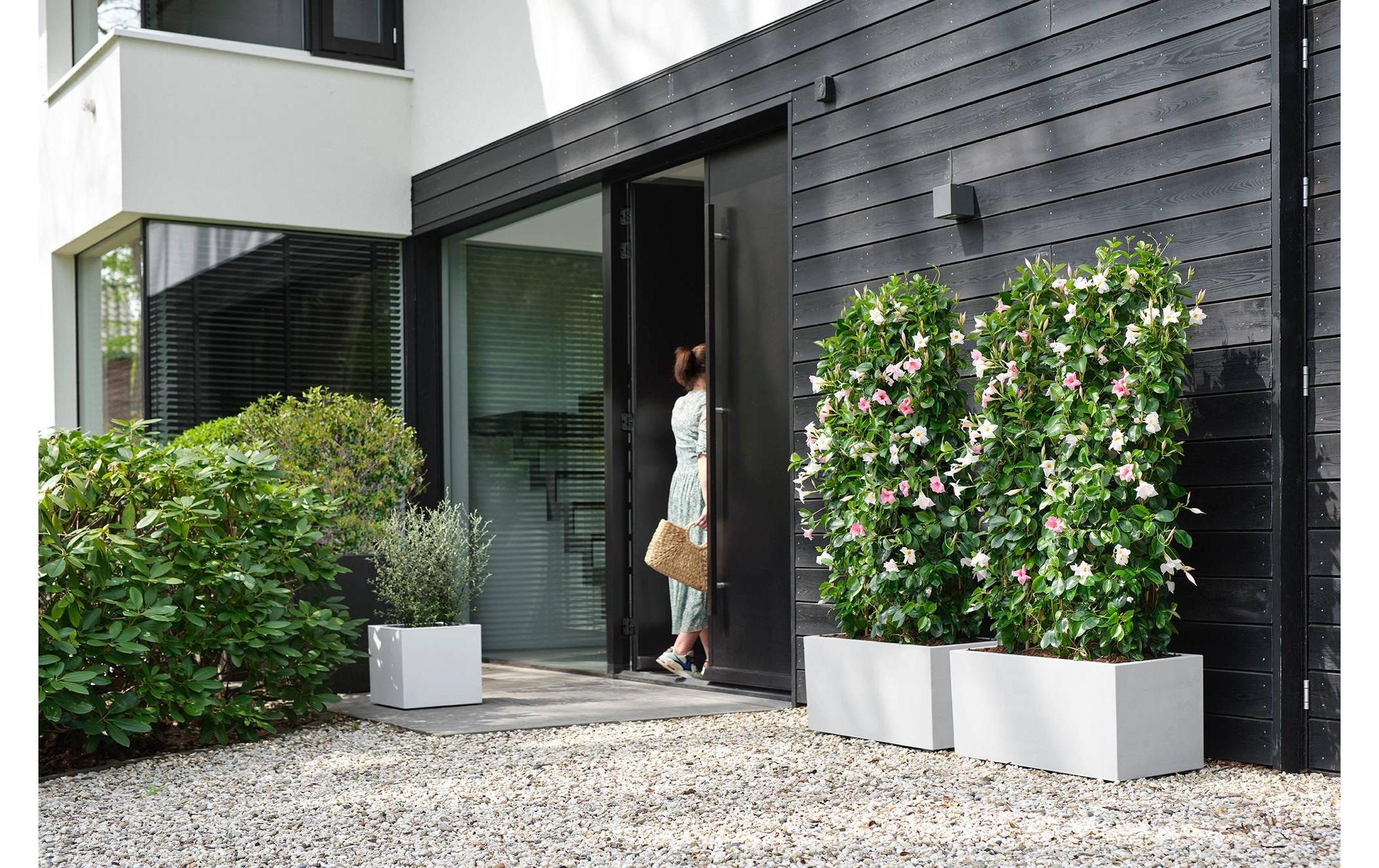 Elho Pot de fleurs »Vivo Next Lang 60 cm«