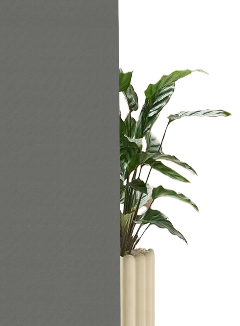 my home Seitenzugrollo »THEMSE« abdunkelnd Sichtschutz | Verdunkelung | energiesparend ohne Bohren freihängend Bestseller mit über 3000 4,5-Sterne-Bewertungen, Klemmträger