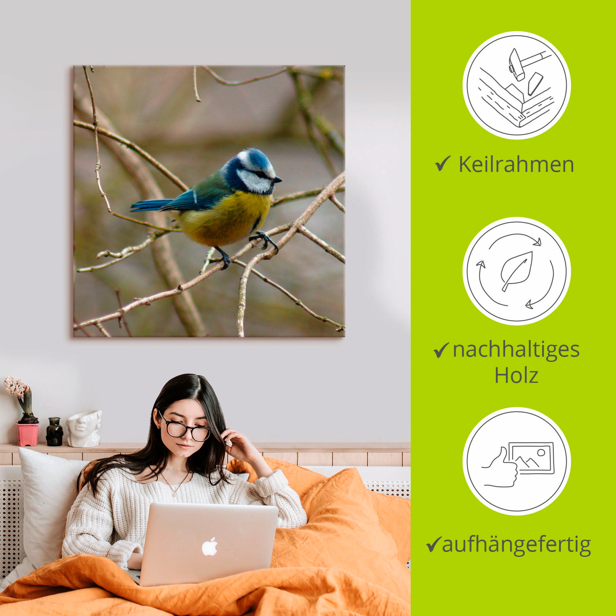 Artland Tableau sur toile »Blaumeise« 1 cuis tlg. auf Holzrahmen gespannt