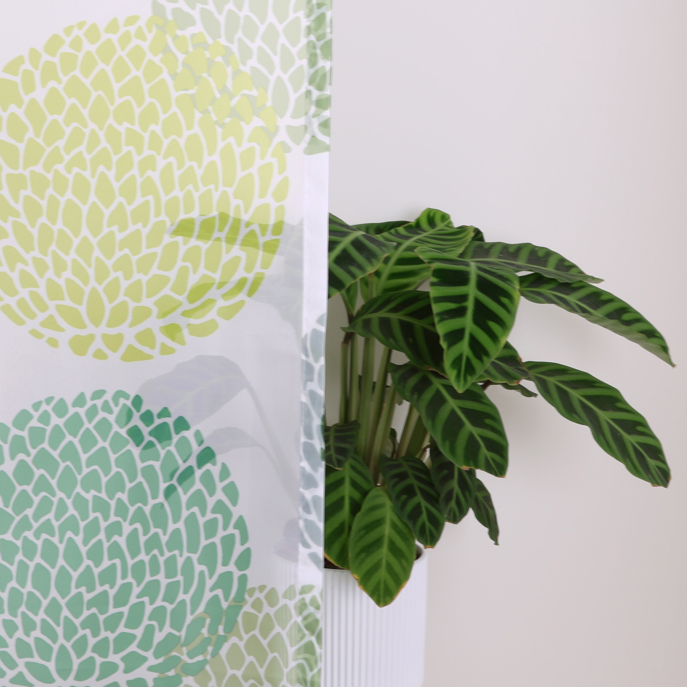GOODproduct »BELEM, 1 Stück, transparent, Kreisemotiv« Ösen 1 Stk. tlg. 1 Schal, Polyester, Kreise