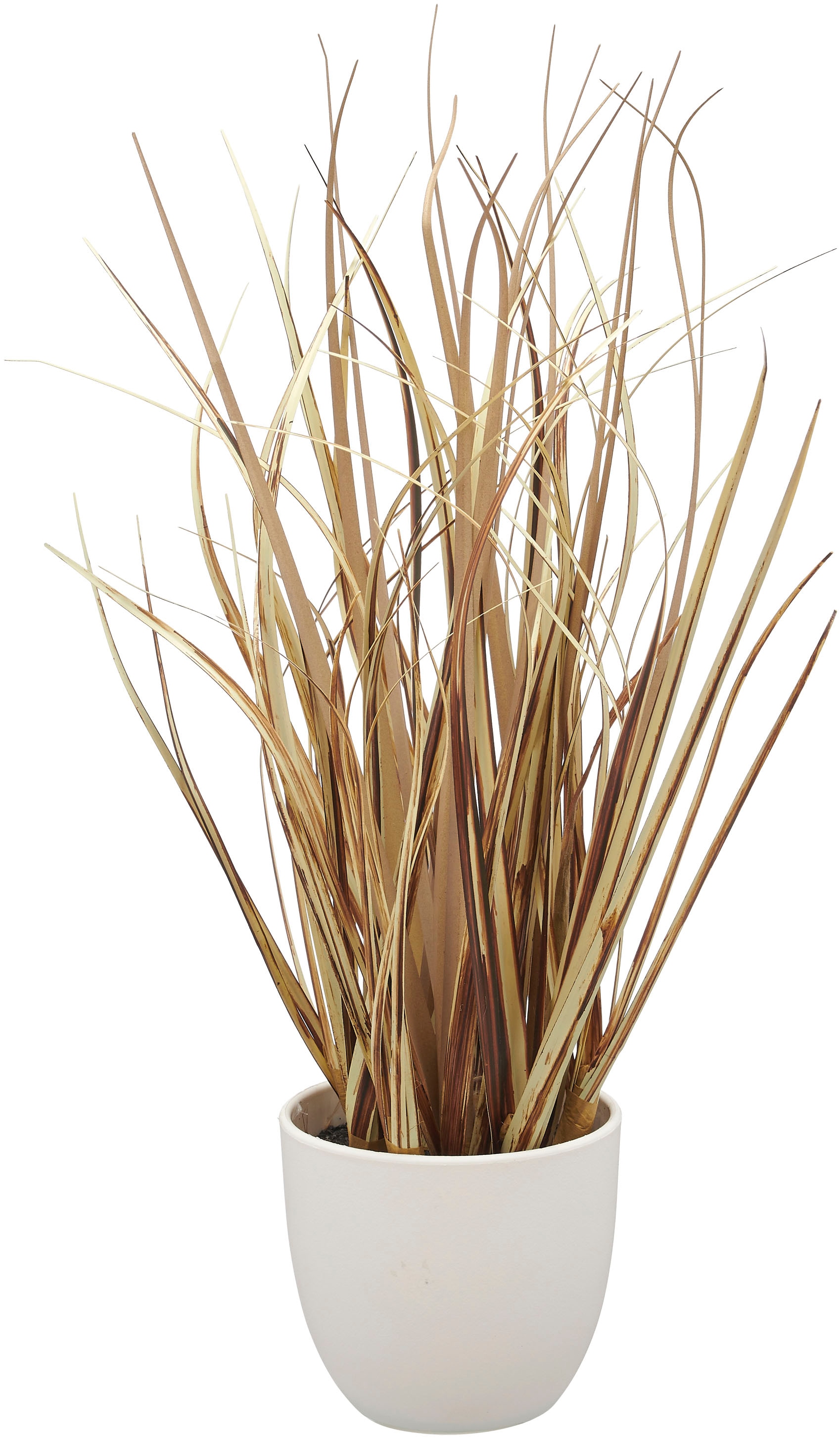 Creativ green Kunstgras »Grasbusch Düne« als Set aus drei Ausführungen