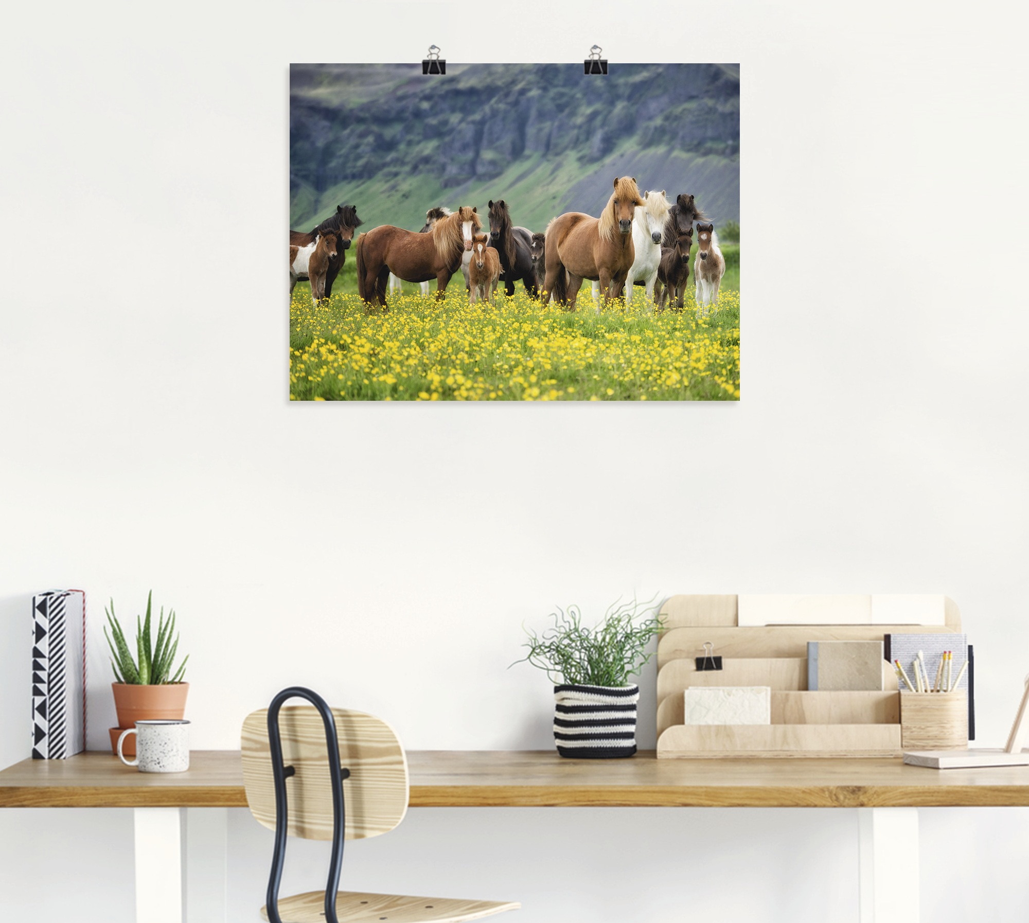 Artland Fresque murale »Isländische Pferde VII« 1 cuis tlg. als Leinwandbild, Poster in verschied. Grössen