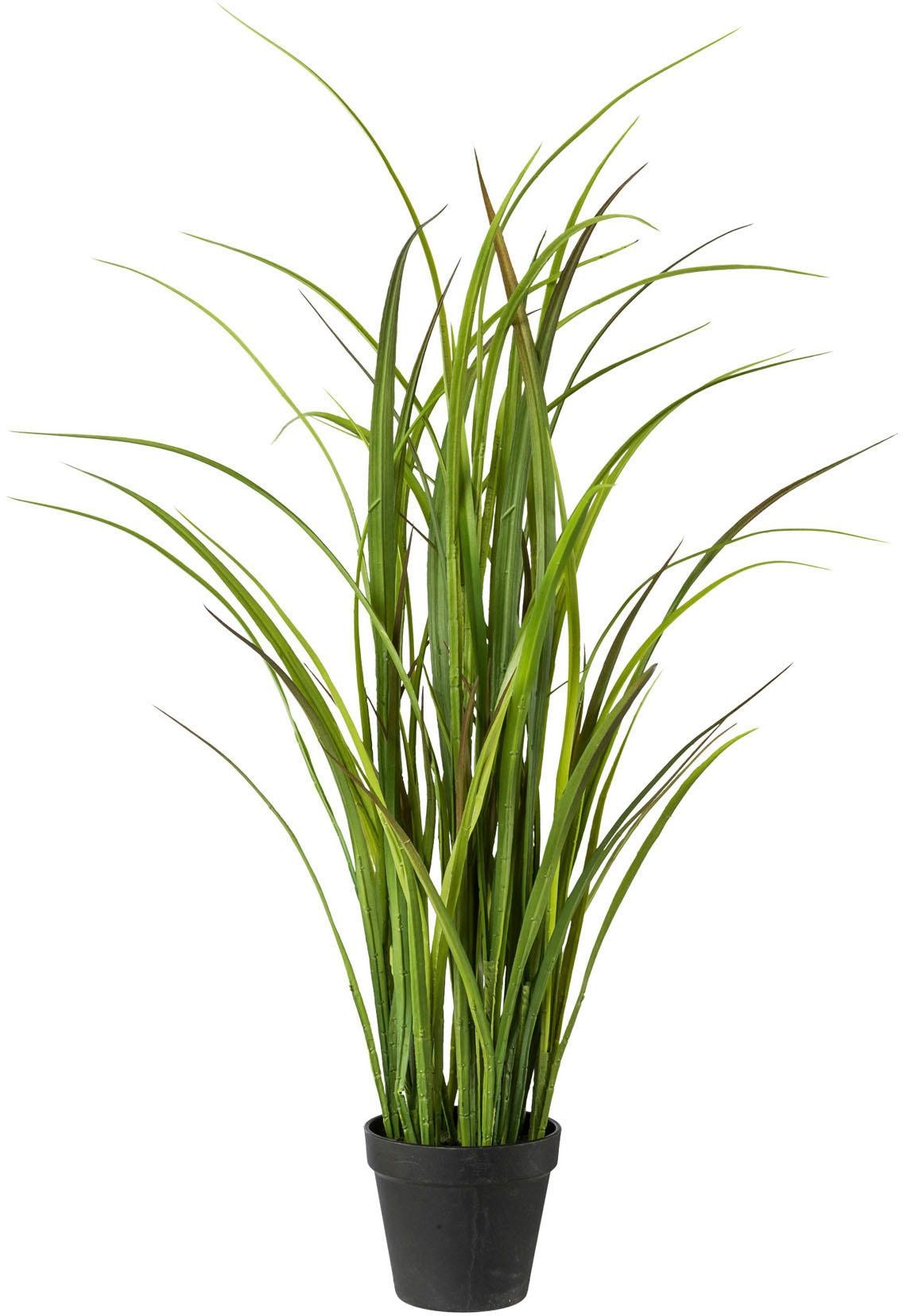 Creativ green Herbe artificielle