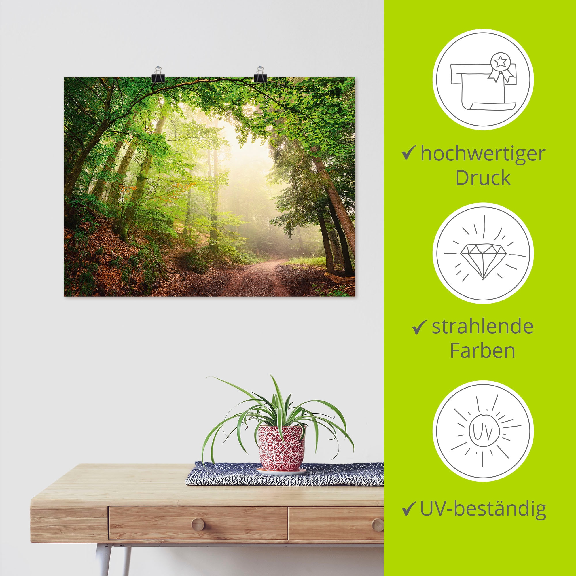 Artland Fresque murale »Natürliche Torbögen durch Bäume« 1 cuis tlg. als Alubild, Poster in verschied. Grössen