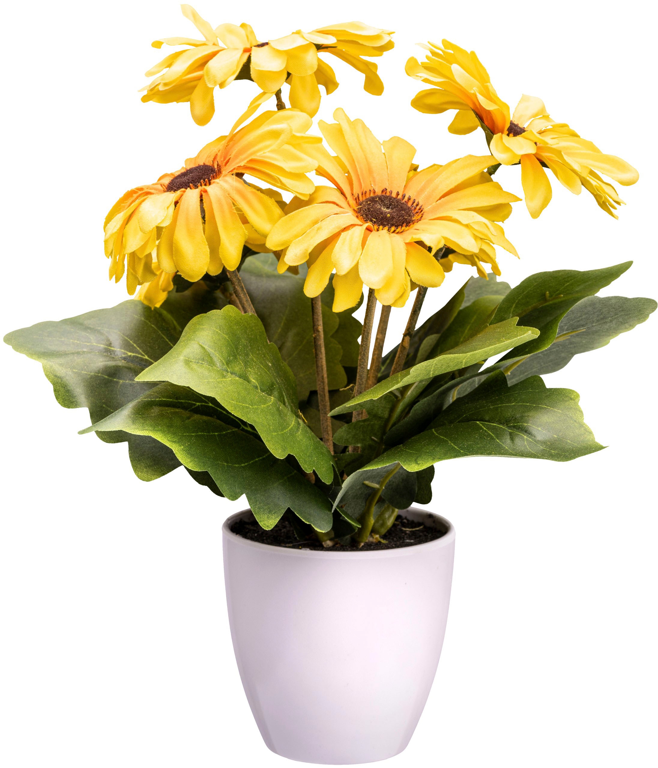 Creativ green Fleur artificielle »Gerberabusch«