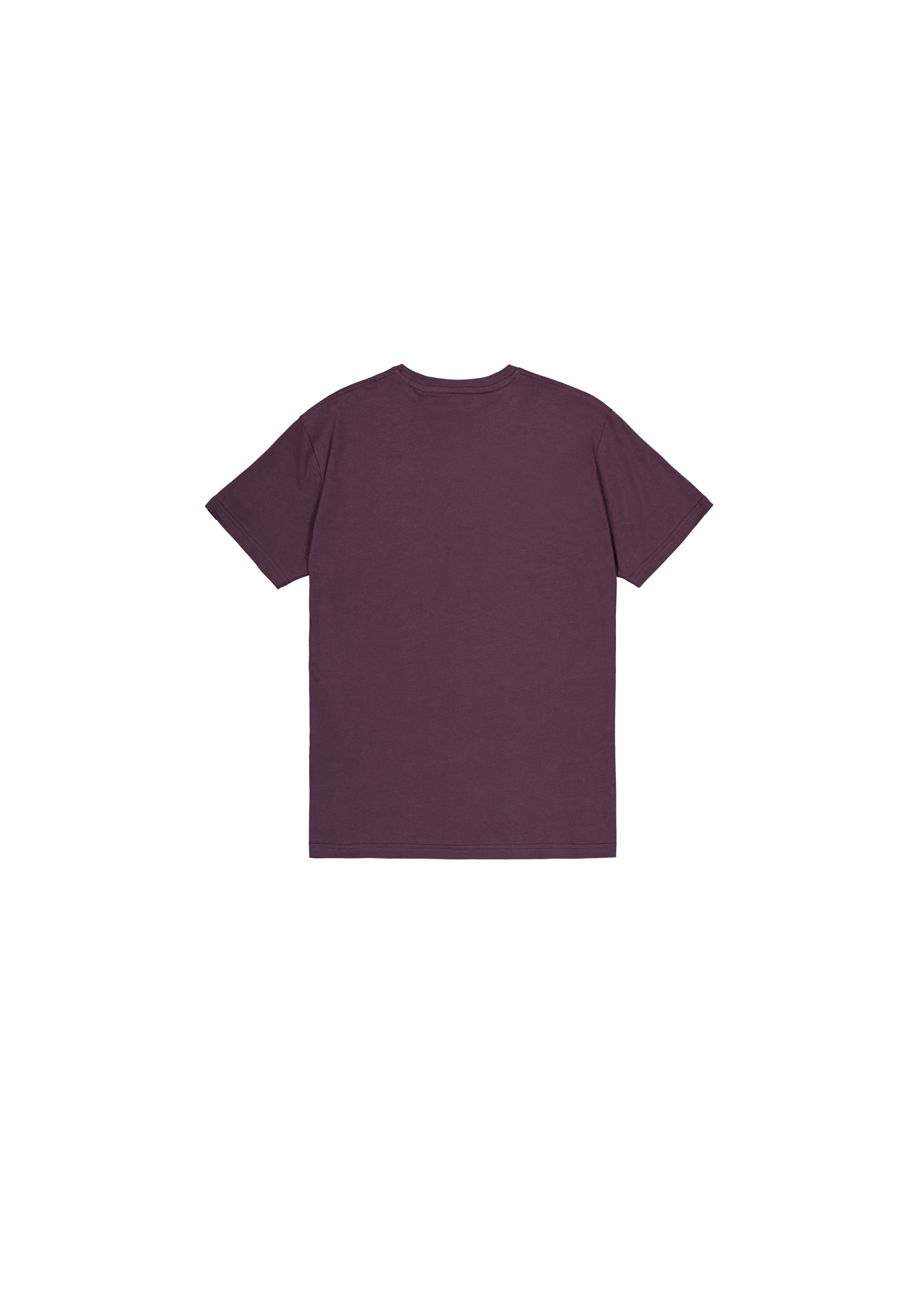 Alpha Industries T-shirt »Basic BL T-Shirt«
