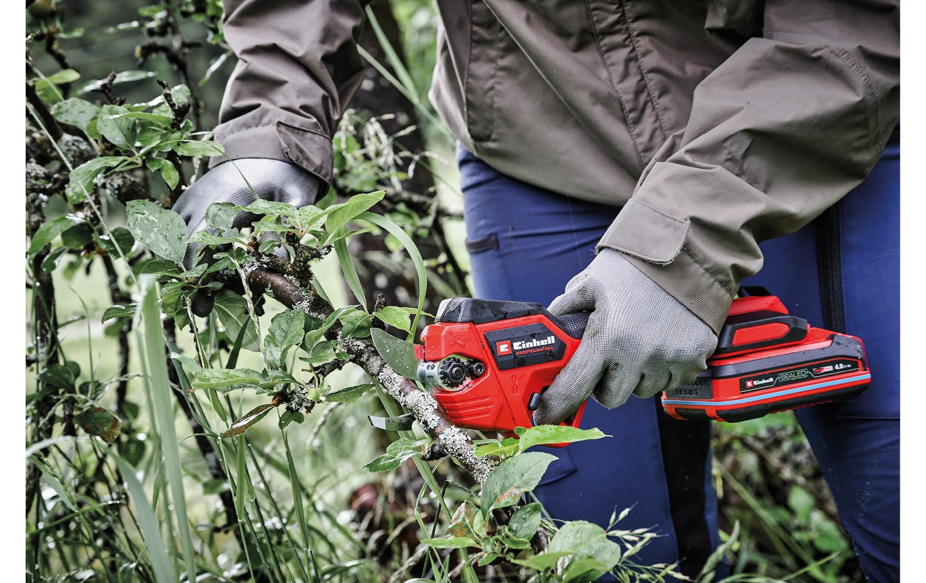 Einhell Akku-Astschere »GP-LS 18/28 Li T BL (1 x 2.5Ah SK)« ()