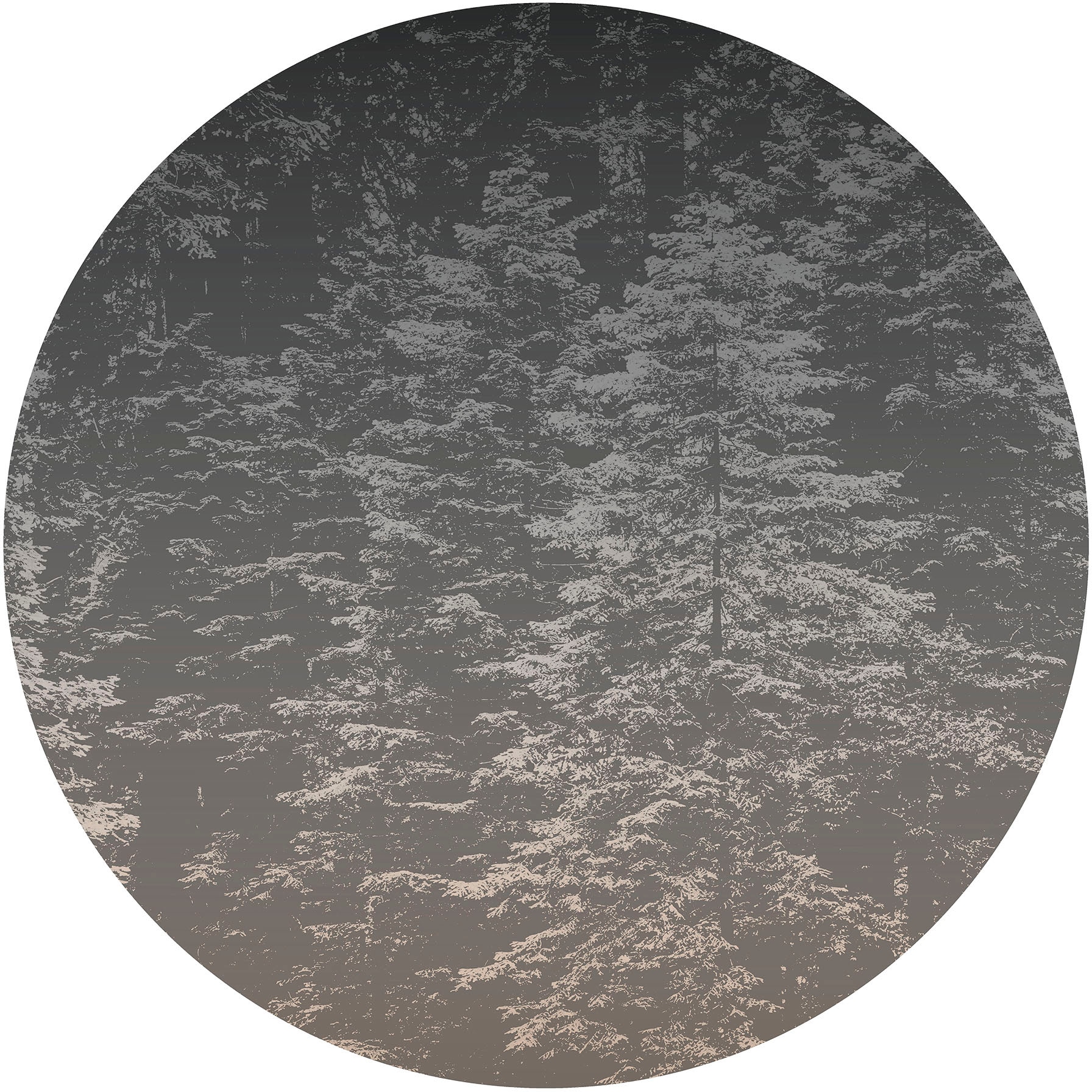 Fashion for walls Papier peint photo »Hazy Pines« Phthalate frei