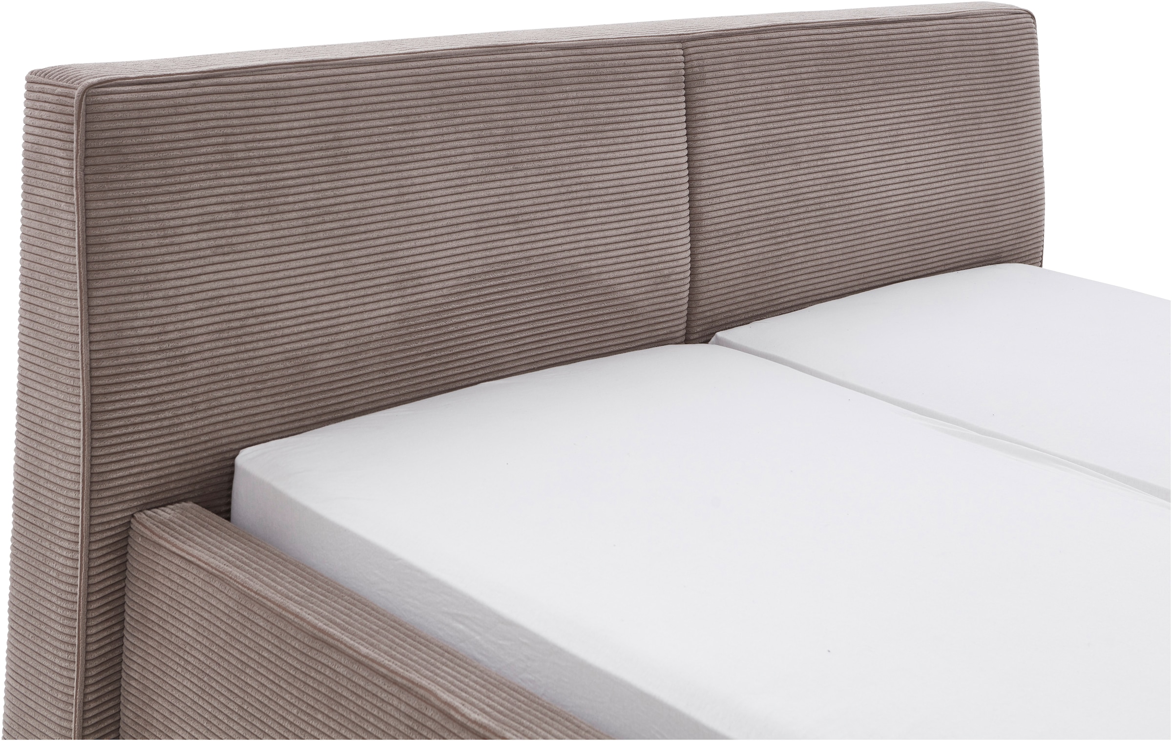 meise.möbel Polsterbett »Magnum« wahlweise mit Bettkasten