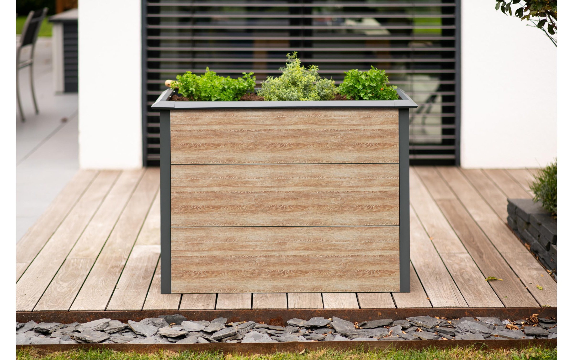 WESTMANN Lit surélevé »Metall Hochbeet »Primus-Multi M«« Incl. protection contre les limaces, LxPxH : 100x50x77 cm