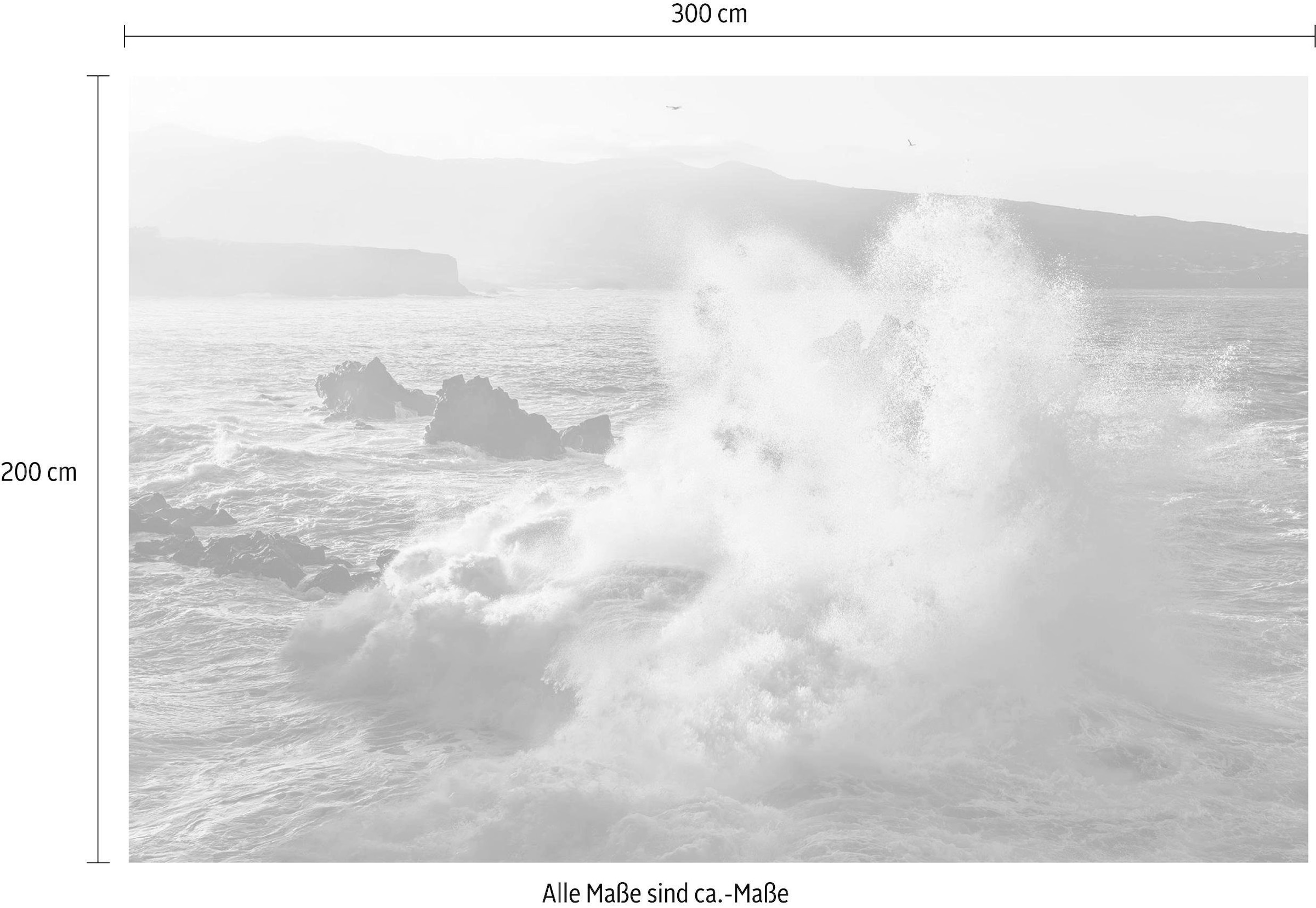 Komar Vliestapete »Digitaldruck Vlies -  Exploding Elements - Grösse 300 x 200 cm« bedruckt glatt Wohnzimmer, Schlafzimmer