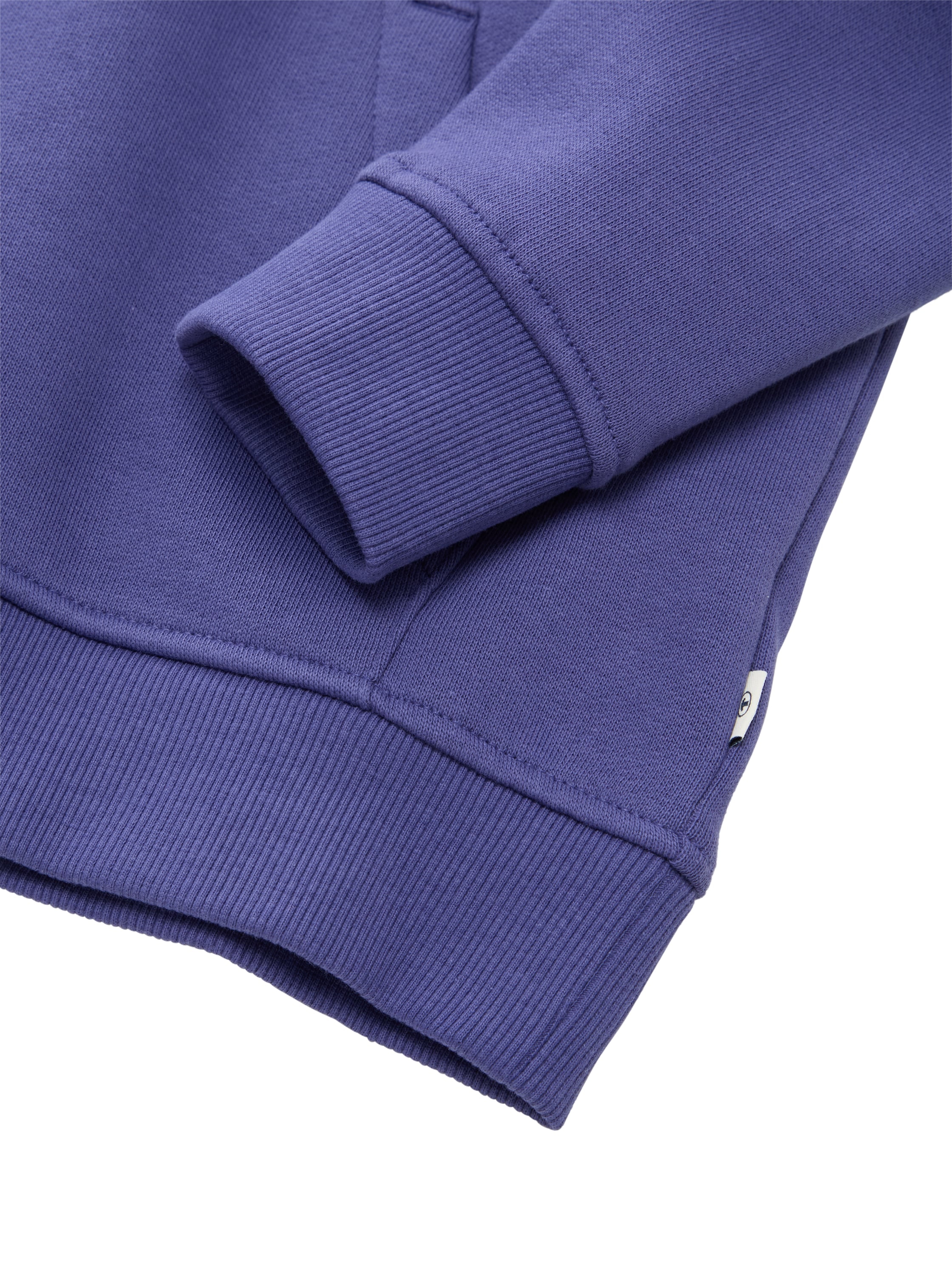 TOM TAILOR Hoodie , mit Kapuze
