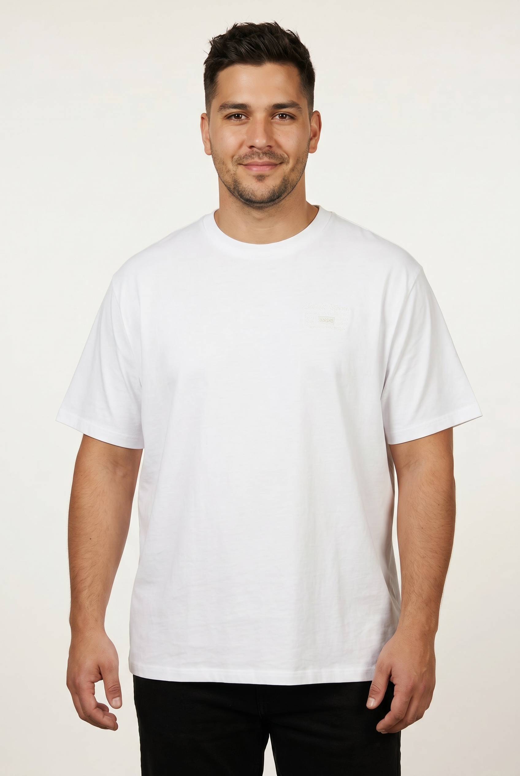 Levi's® Plus T-Shirt »LSE B&T BIG GRAPHIC TEE« mit Logostickerei auf der Brust,