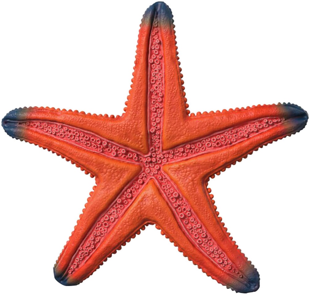 Schleich® Personnage de jeu »WILD LIFE, Seestern (14902)« mit Farbwechsel