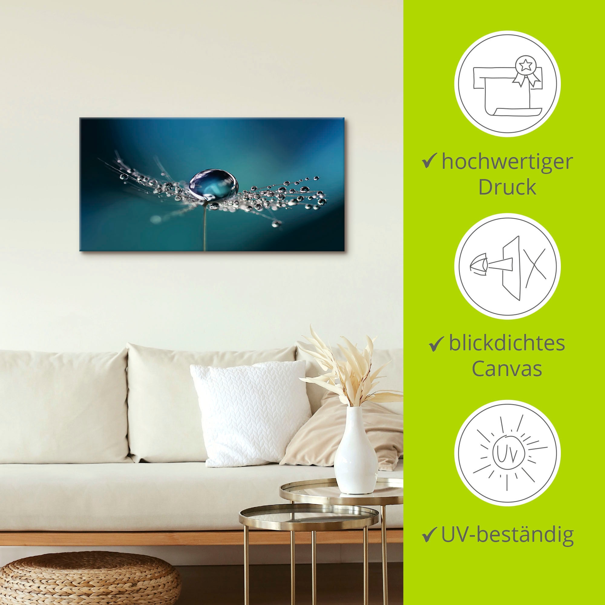 Artland Wandbild »Pusteblume Tautropfen blau« Blumenbilder 1 Stk. tlg. als Alubild, Outdoorbild, Leinwandbild in verschied. Grössen