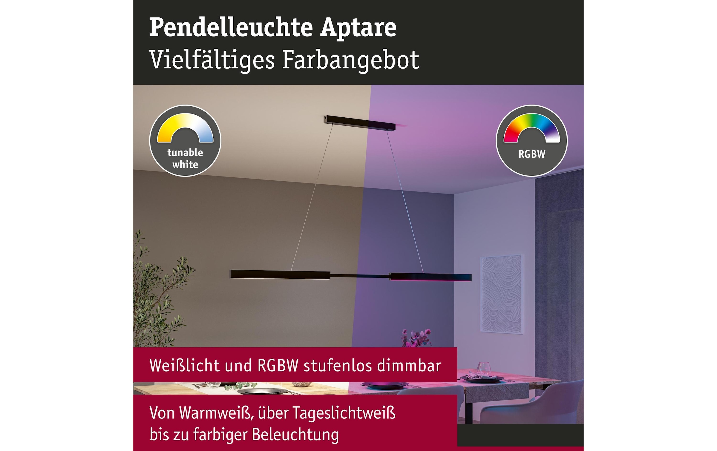 Paulmann Lampe suspendue LED »LED Pendelleuchte Smart Home Zigbee« Module LED RVB | blanc chaud - blanc froid