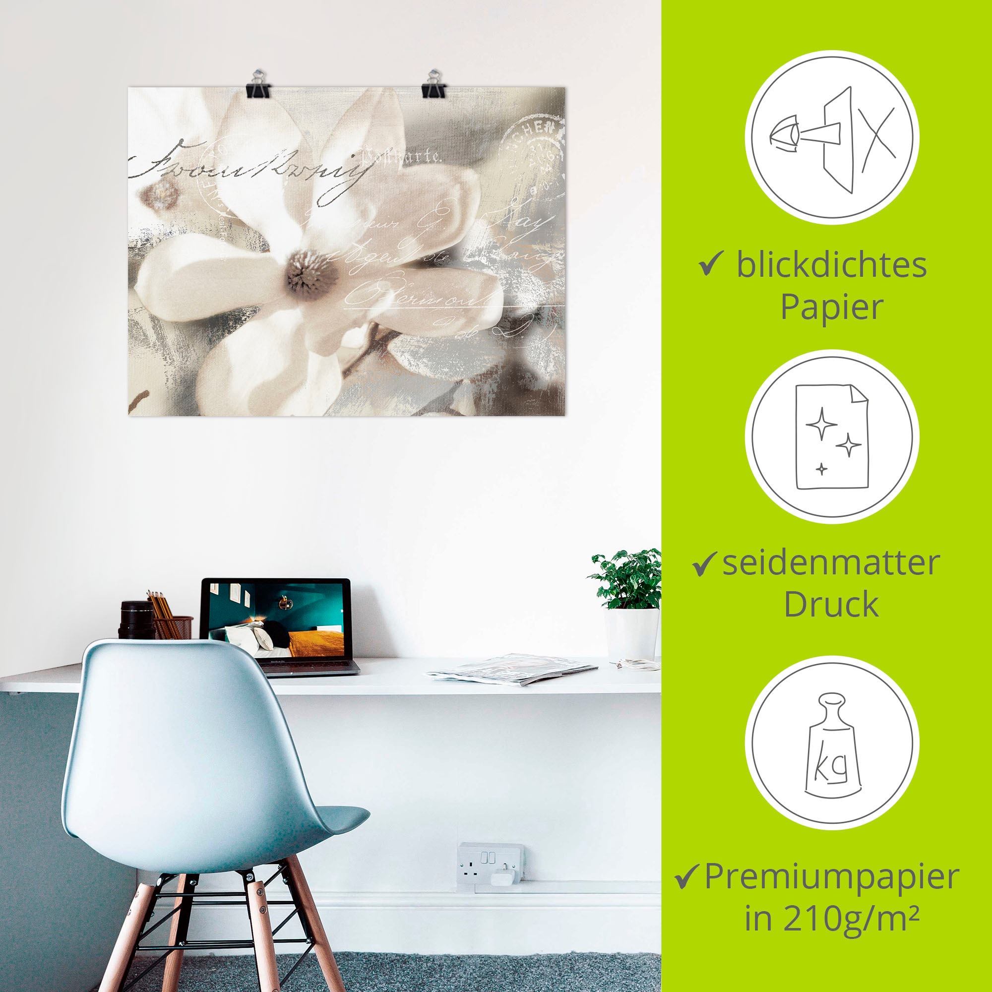 Artland Wandbild »Magnolie_Detail« Blumenbilder 1 Stk. tlg. als Alubild, Leinwandbild, Poster in verschied. Grössen