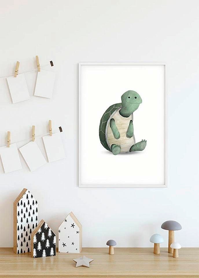 Komar Image »Cute Animal Turtle« 1 cuis tlg. Wandbild zur Dekoration - ohne Rahmen