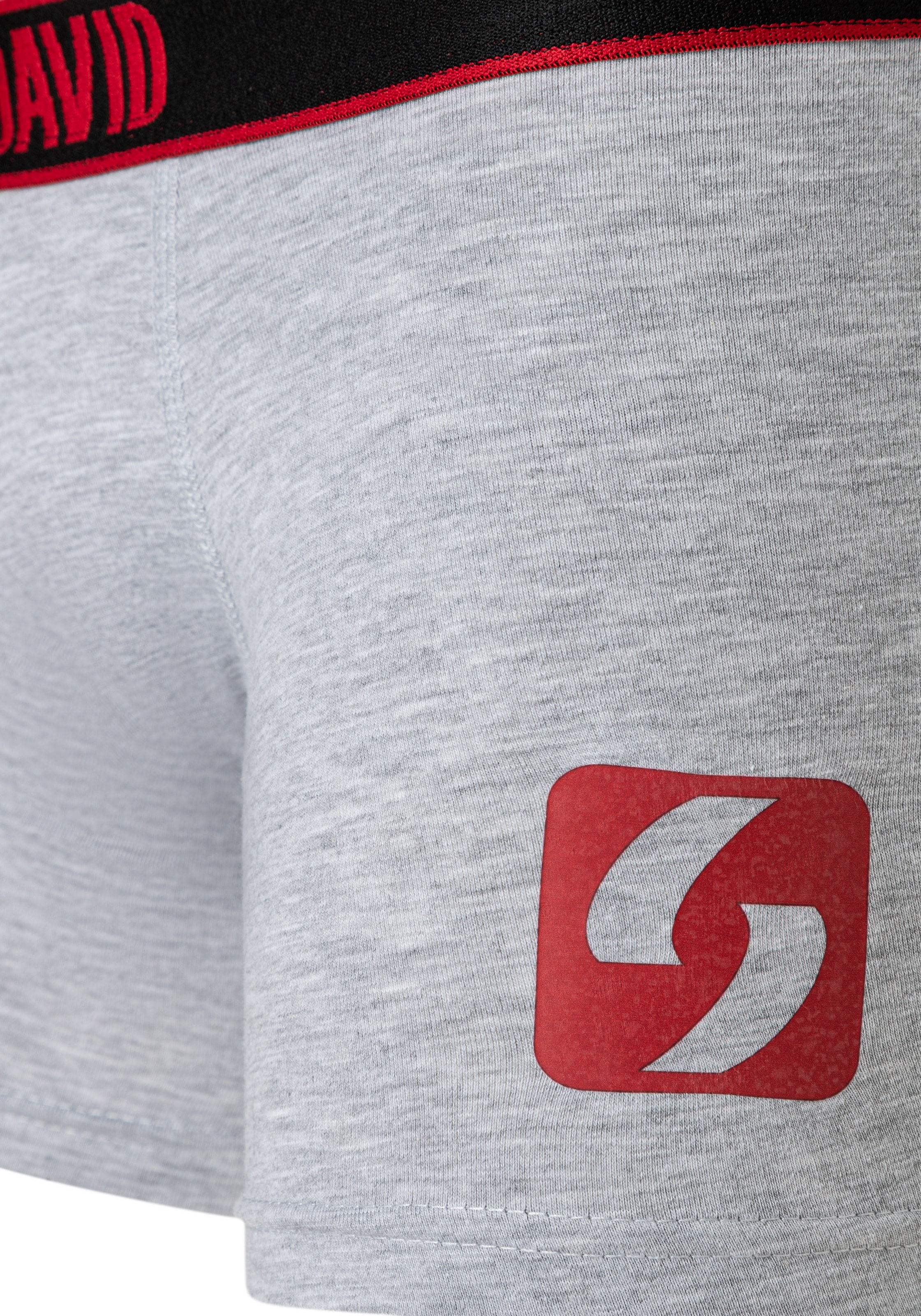 CAMP DAVID Boxershorts »casual« Boxershorts, mit doppellagiger Tasche, aus gekämmter Baumwolle