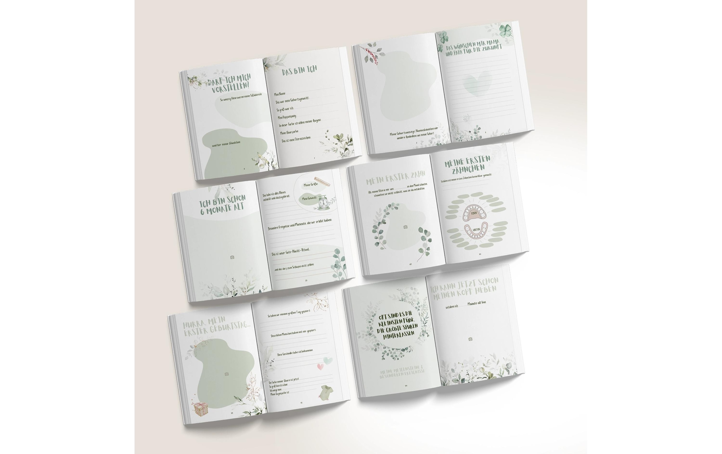   Buch »Eulentaler Pflanzen«