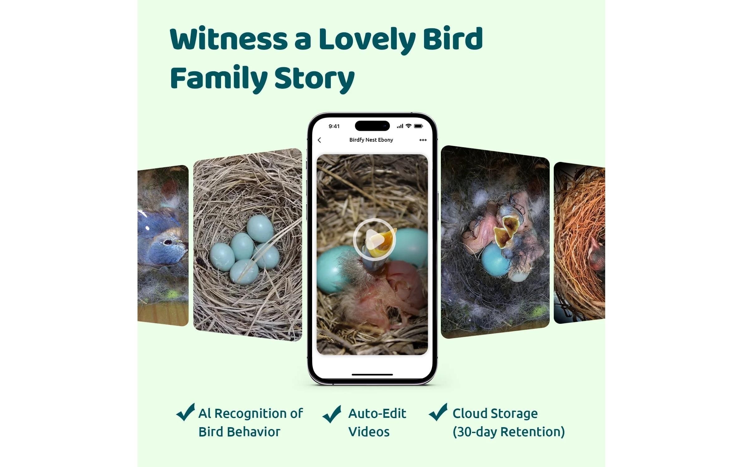 Birdfy Maison des oiseaux »Nistkasten mit Kamera und Solar«