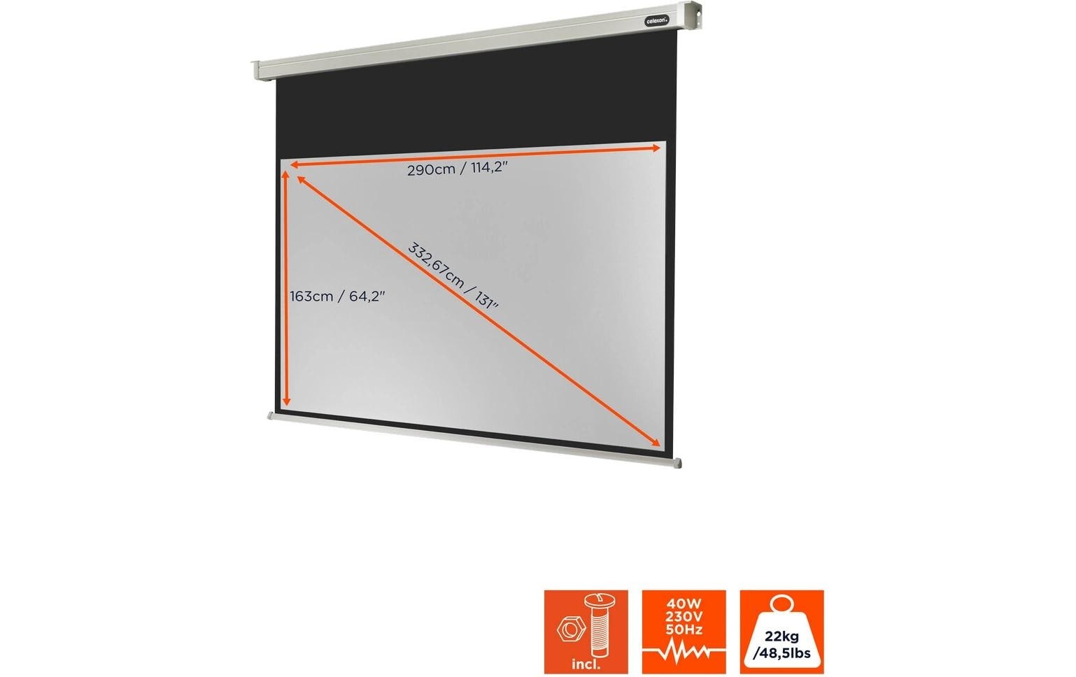 Celexon Motorleinwand »Pro 290x163 cm«