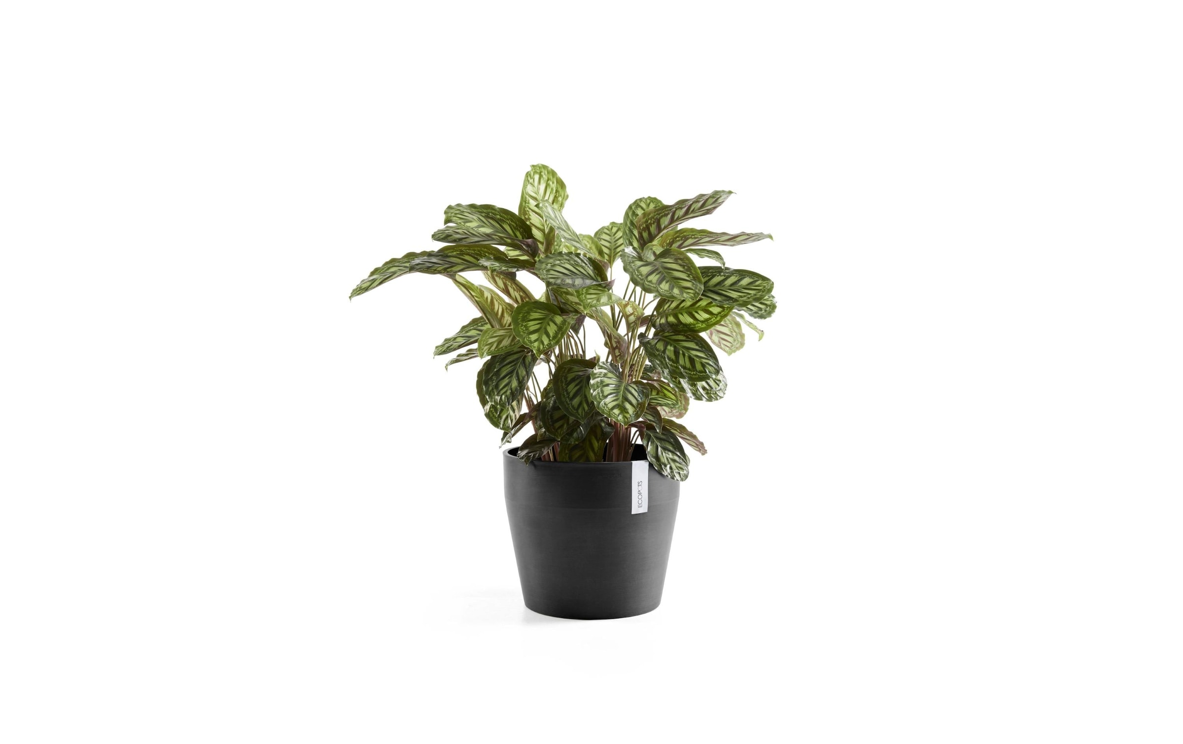   Blumentopf »Sankara Ø 40 cm«