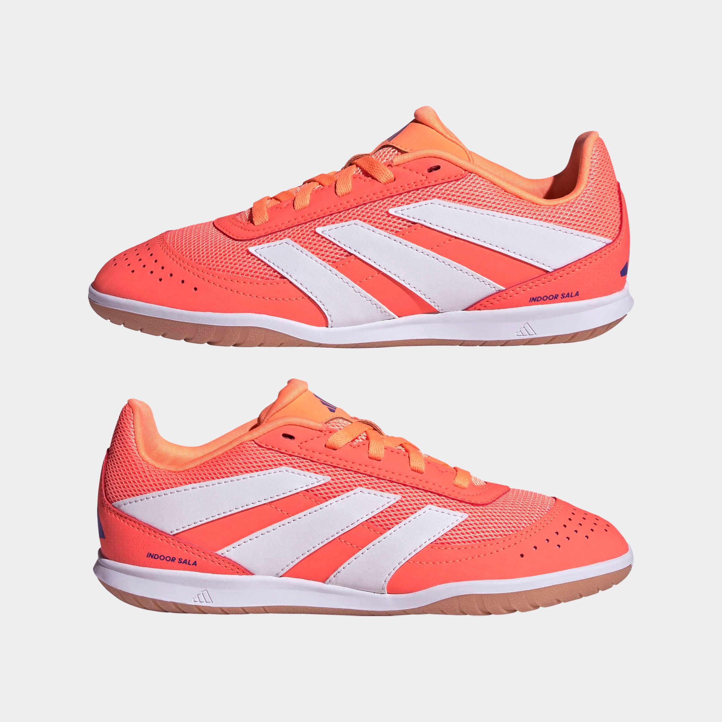 adidas Performance Chaussure de football »PREDATOR CLUB INDOOR SALA  KINDER«  adapté comme chaussure de salle, pour enfants et adolescents