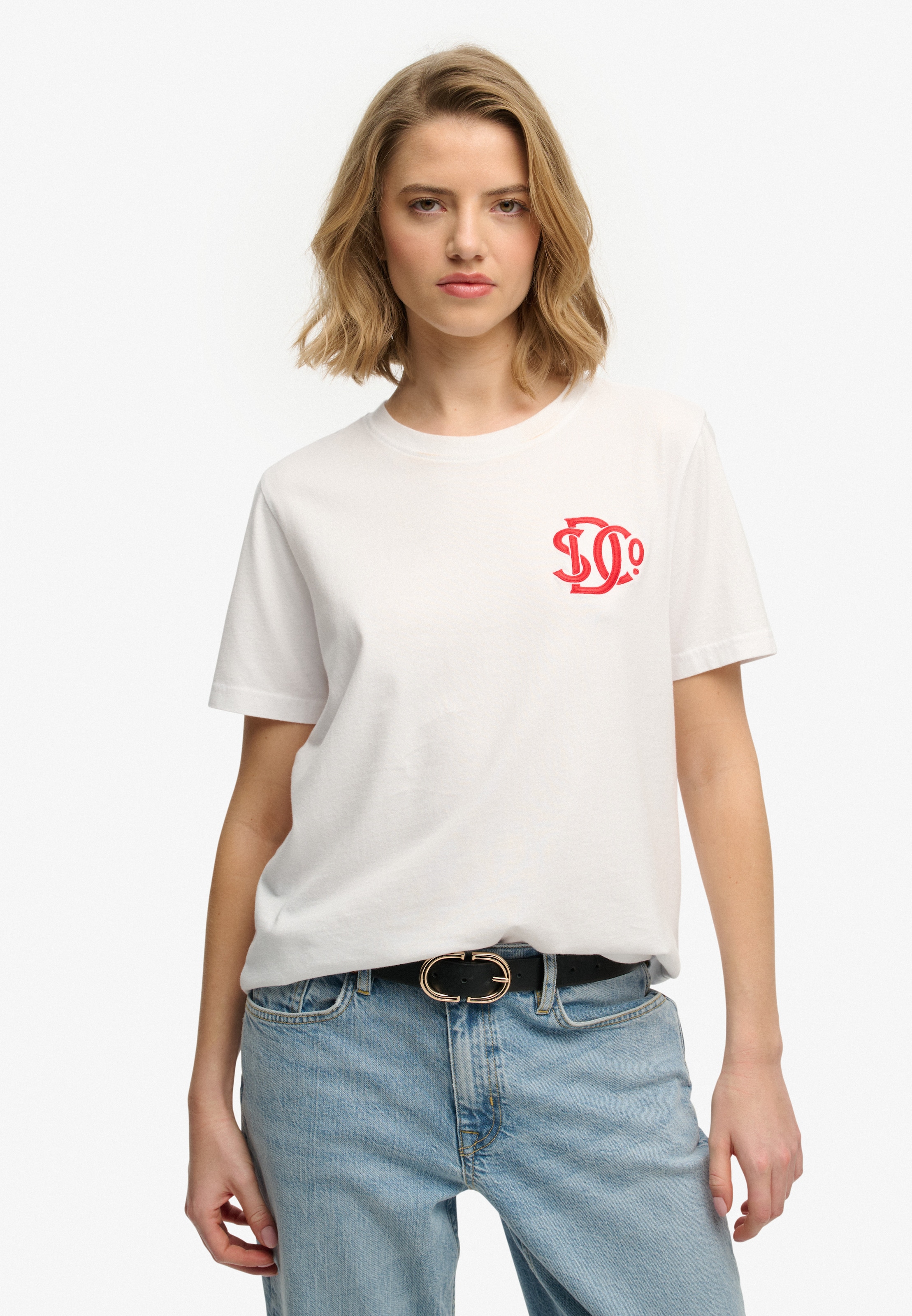 Superdry T-shirt »SD&CO NEON RELAXED TEE«