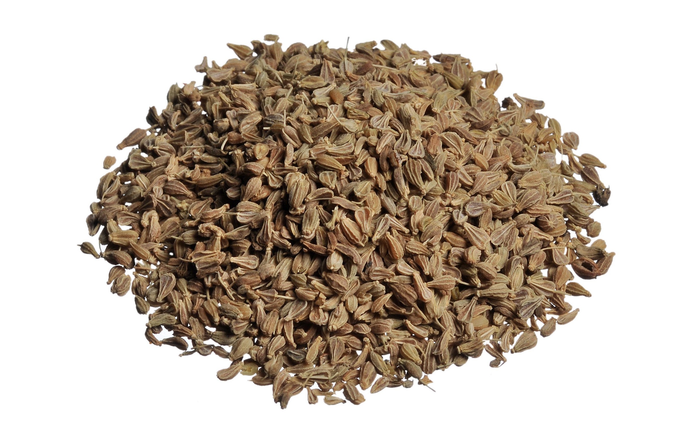 WMF Distributeur d'épices