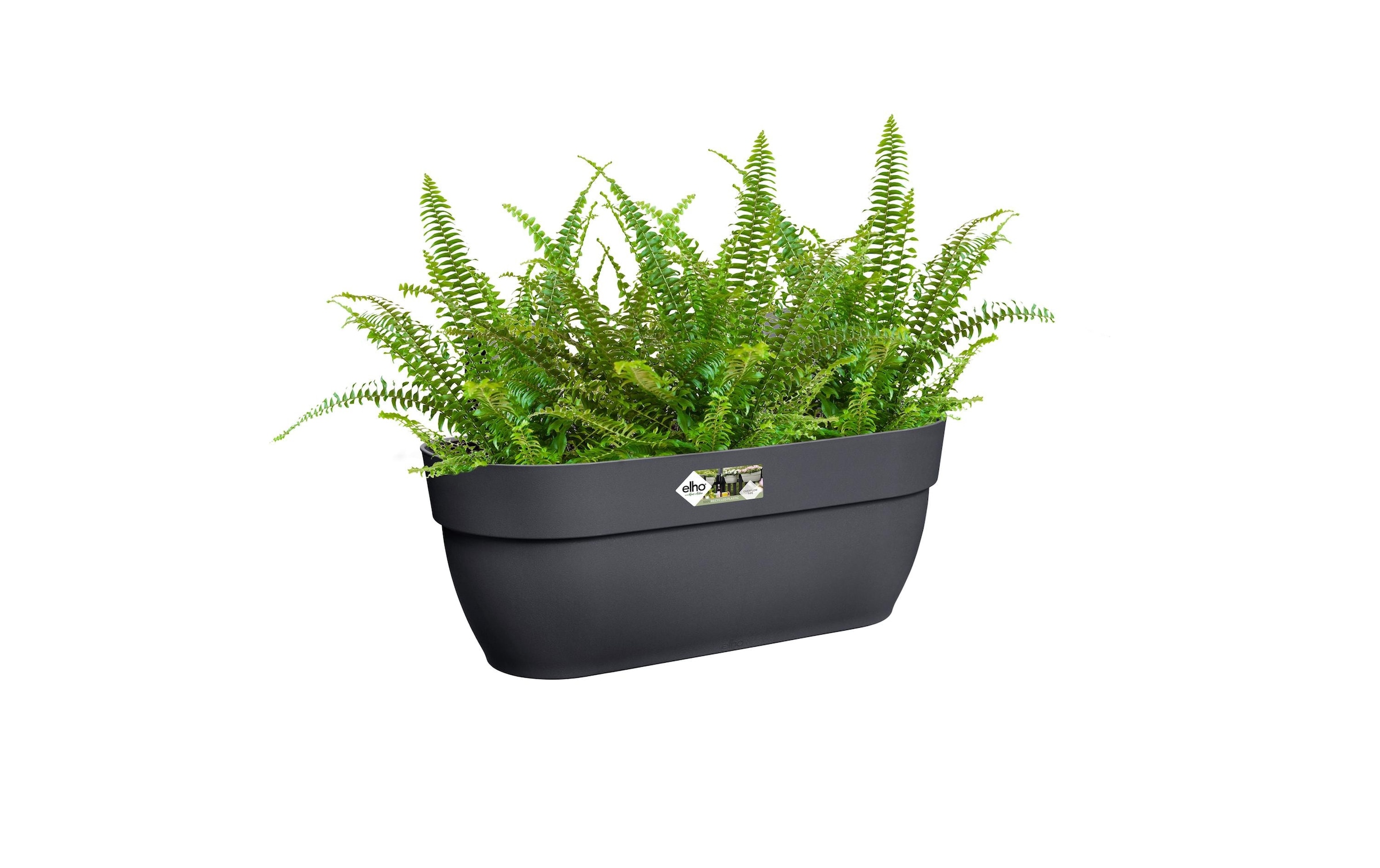 Elho Pot de fleurs »Vibia Campana Easy Aufhänger Gross«